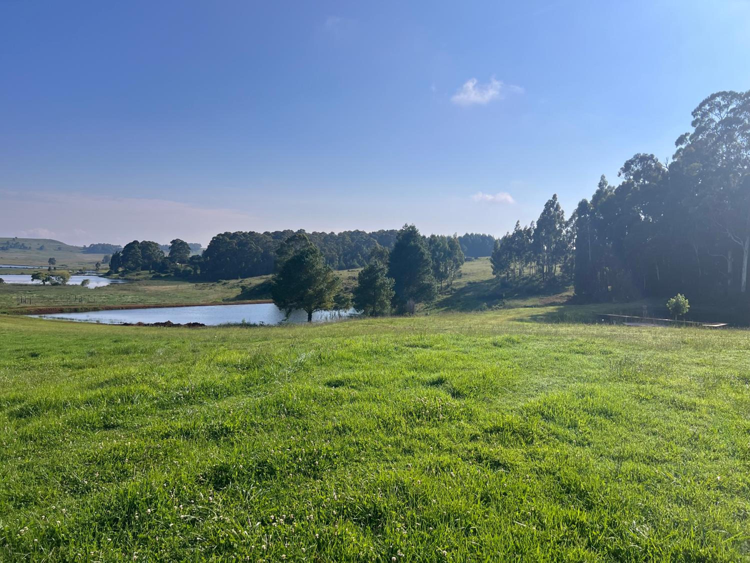 Renanda