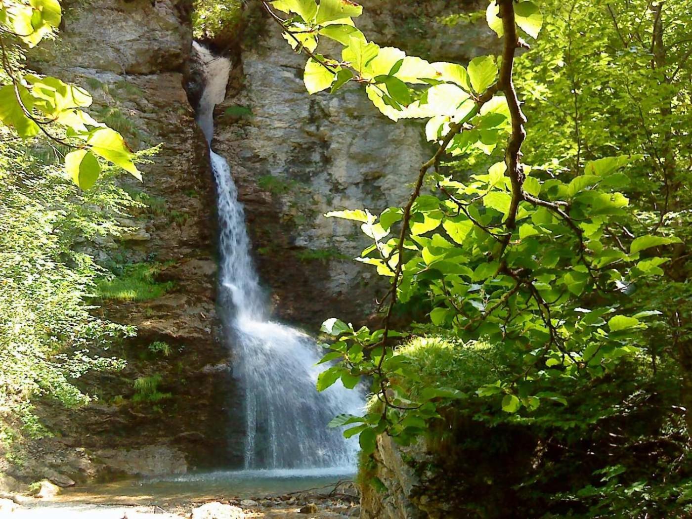Allgäutraum ! Dein Berg- und Alpsee Urlaub in top Lage - 70qm - 3 Zimmer