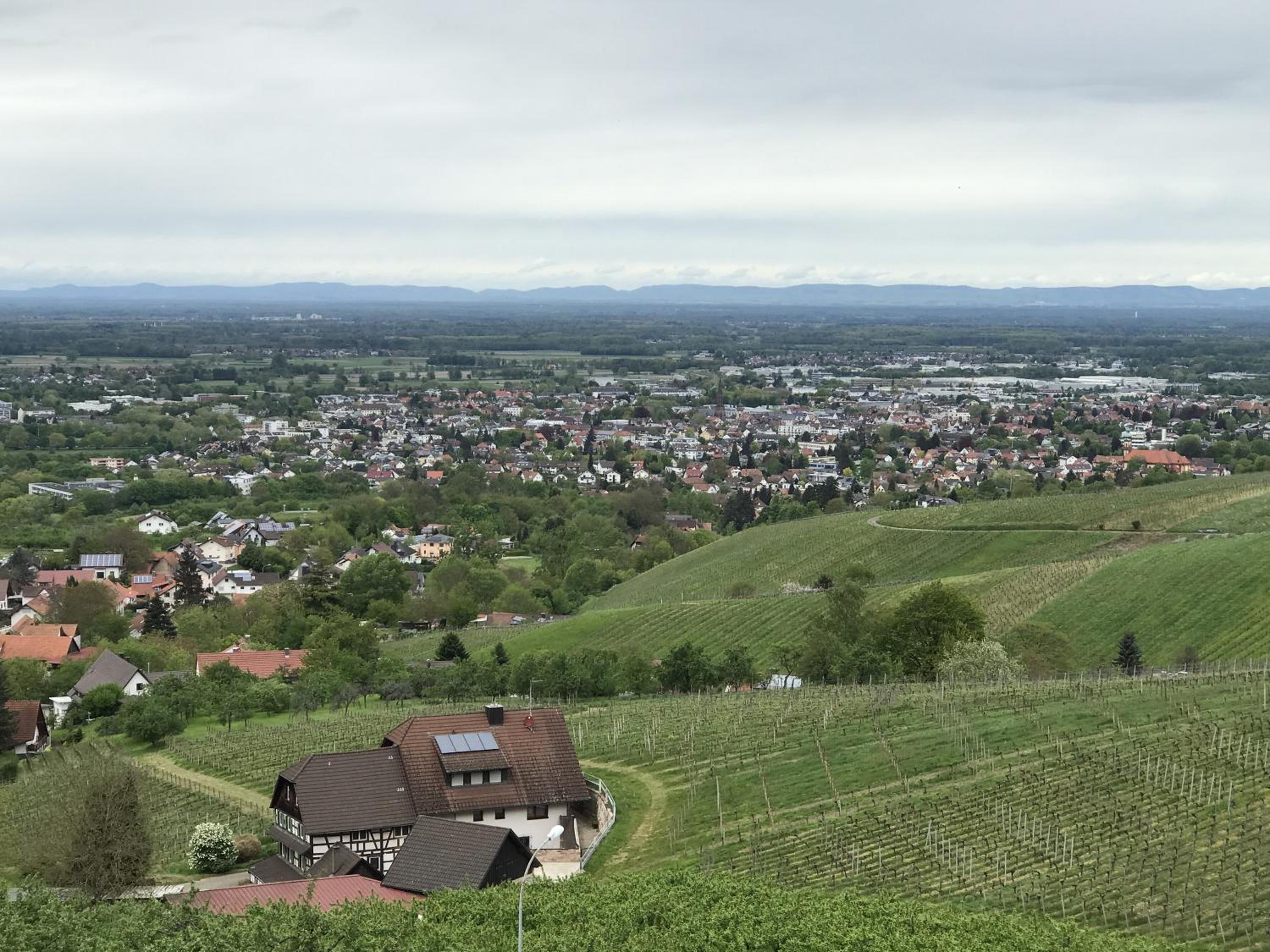 Schwarzwald Glück