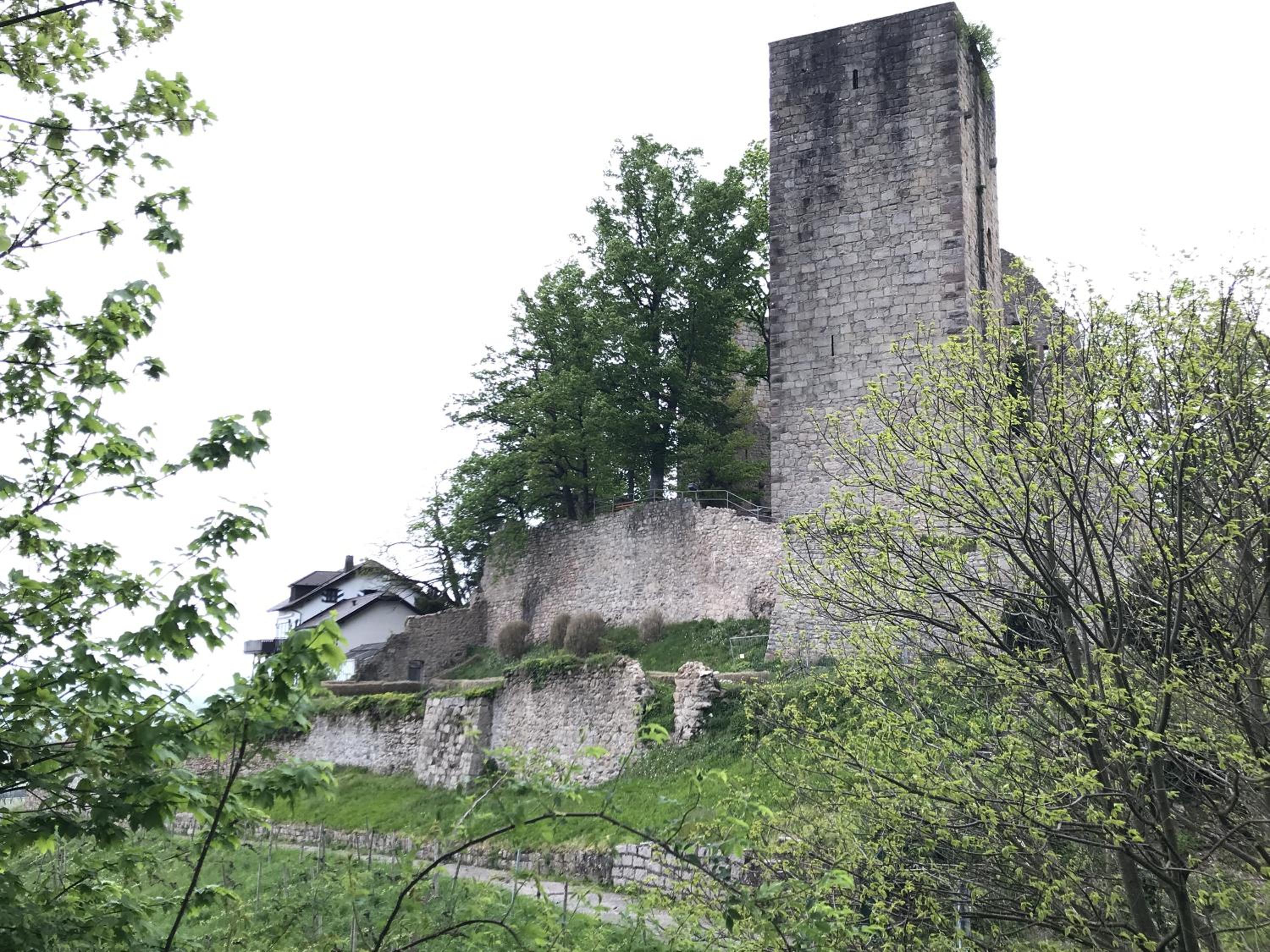 Schwarzwald Glück