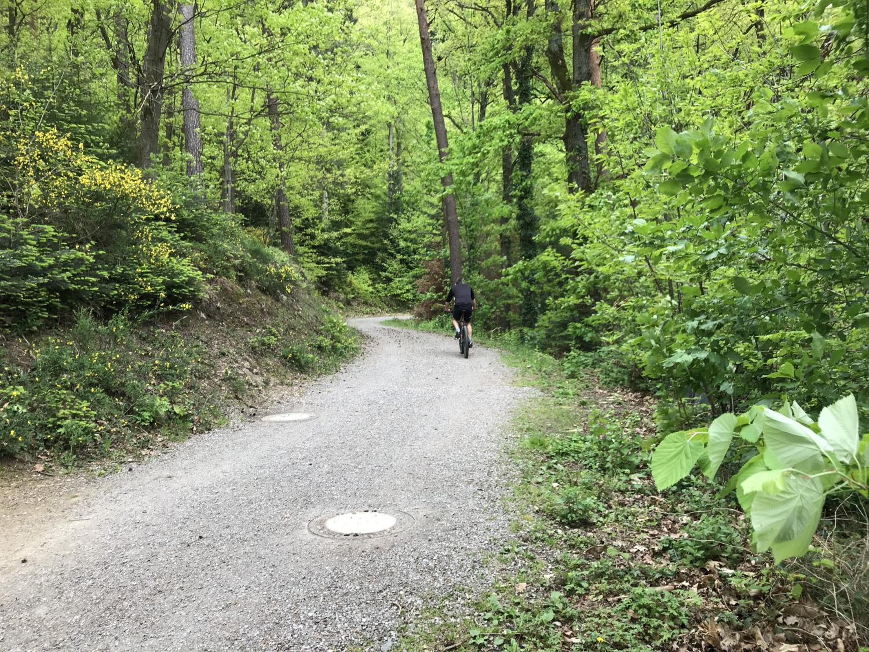 Schwarzwald Glück