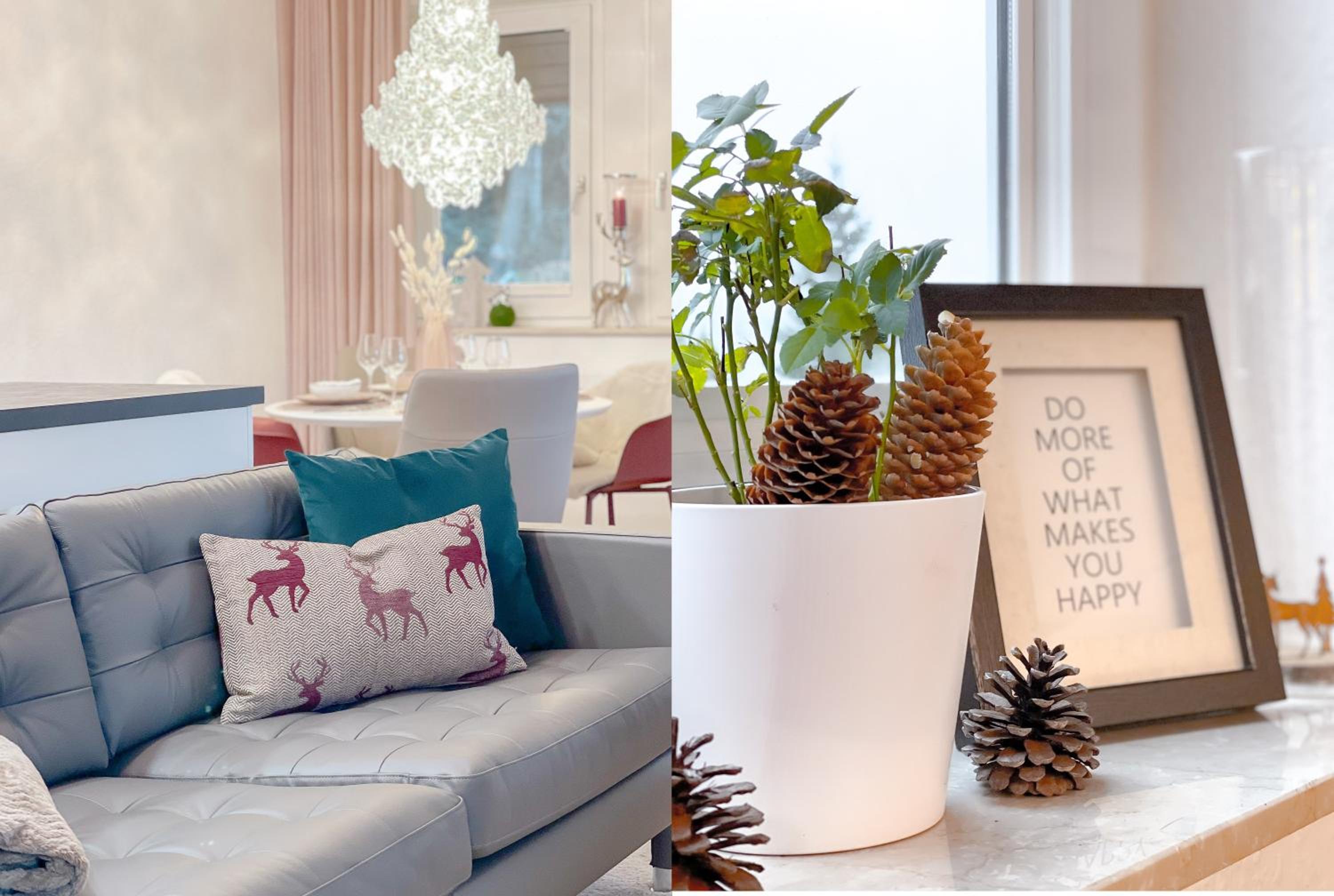 Schwarzwald Top Apartment