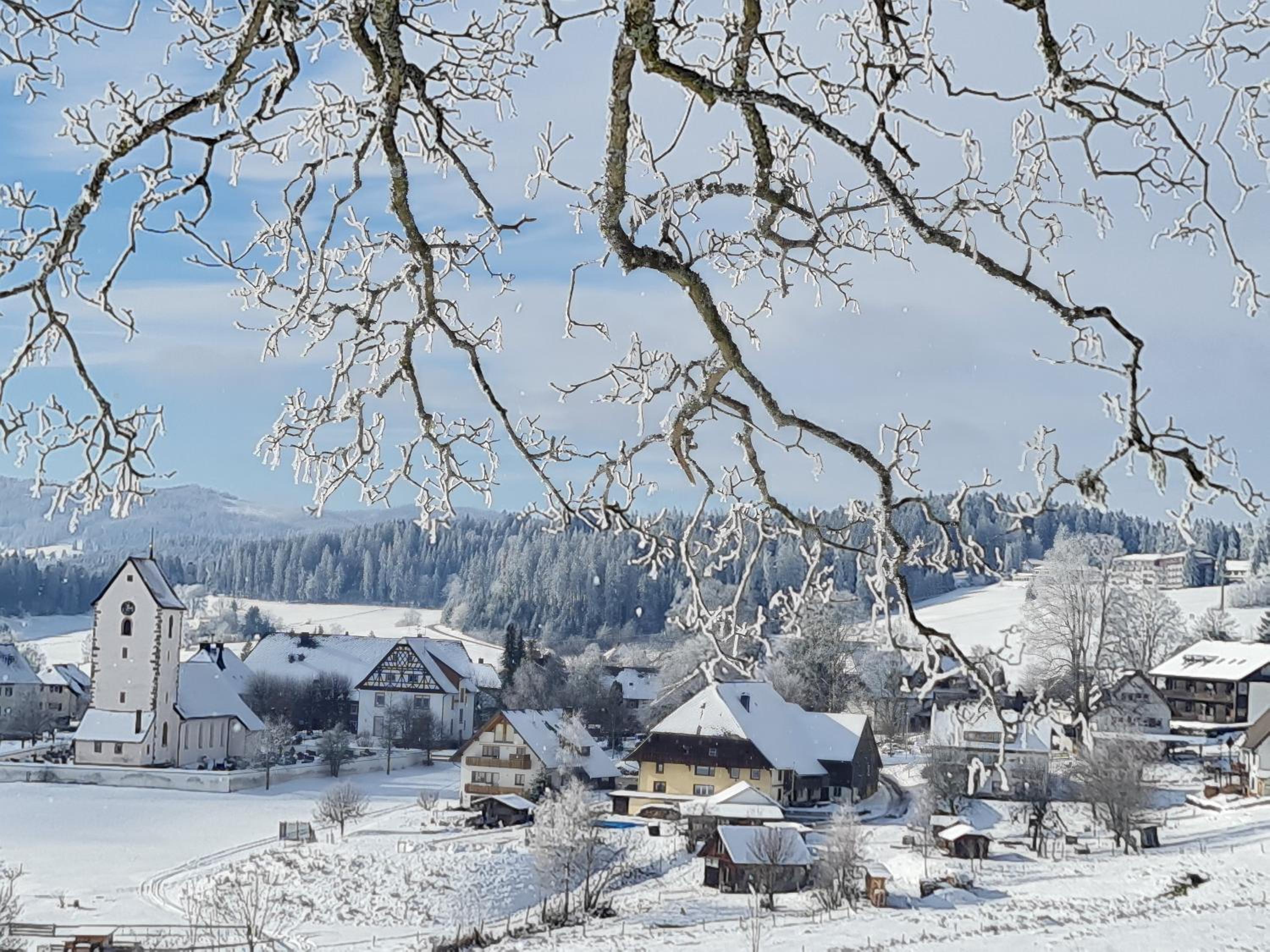Schwarzwald Top Apartment