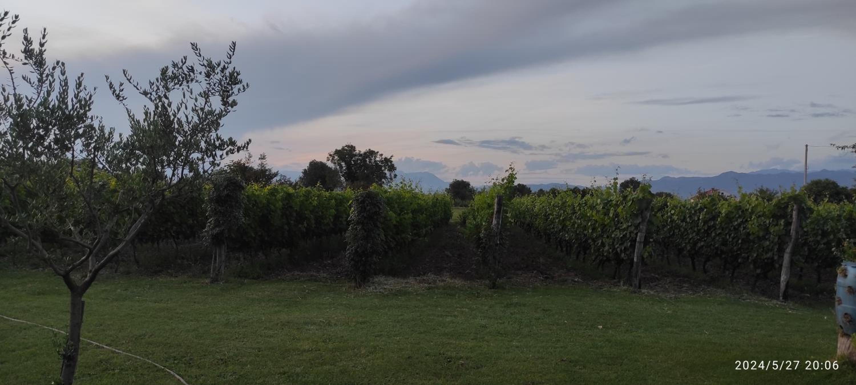cozy village wine house view 4