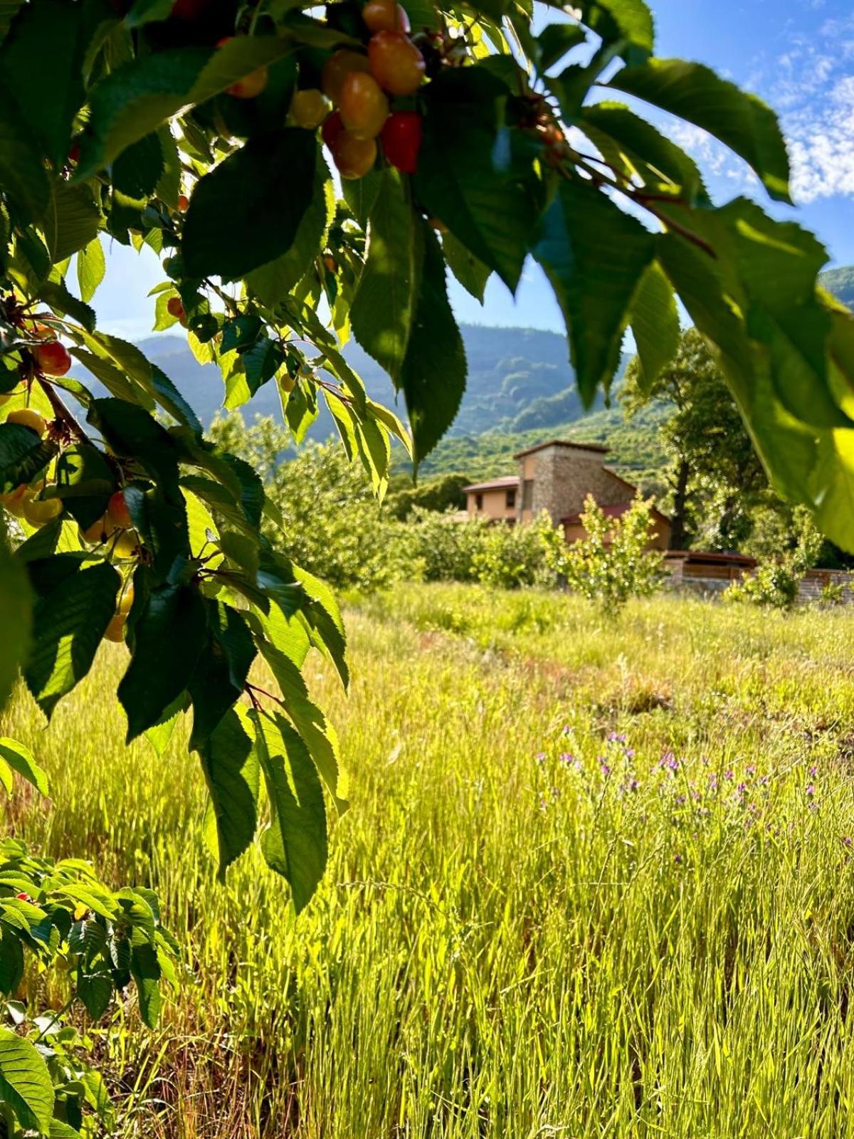 CASA RURAL MOLINO DEL JERTE