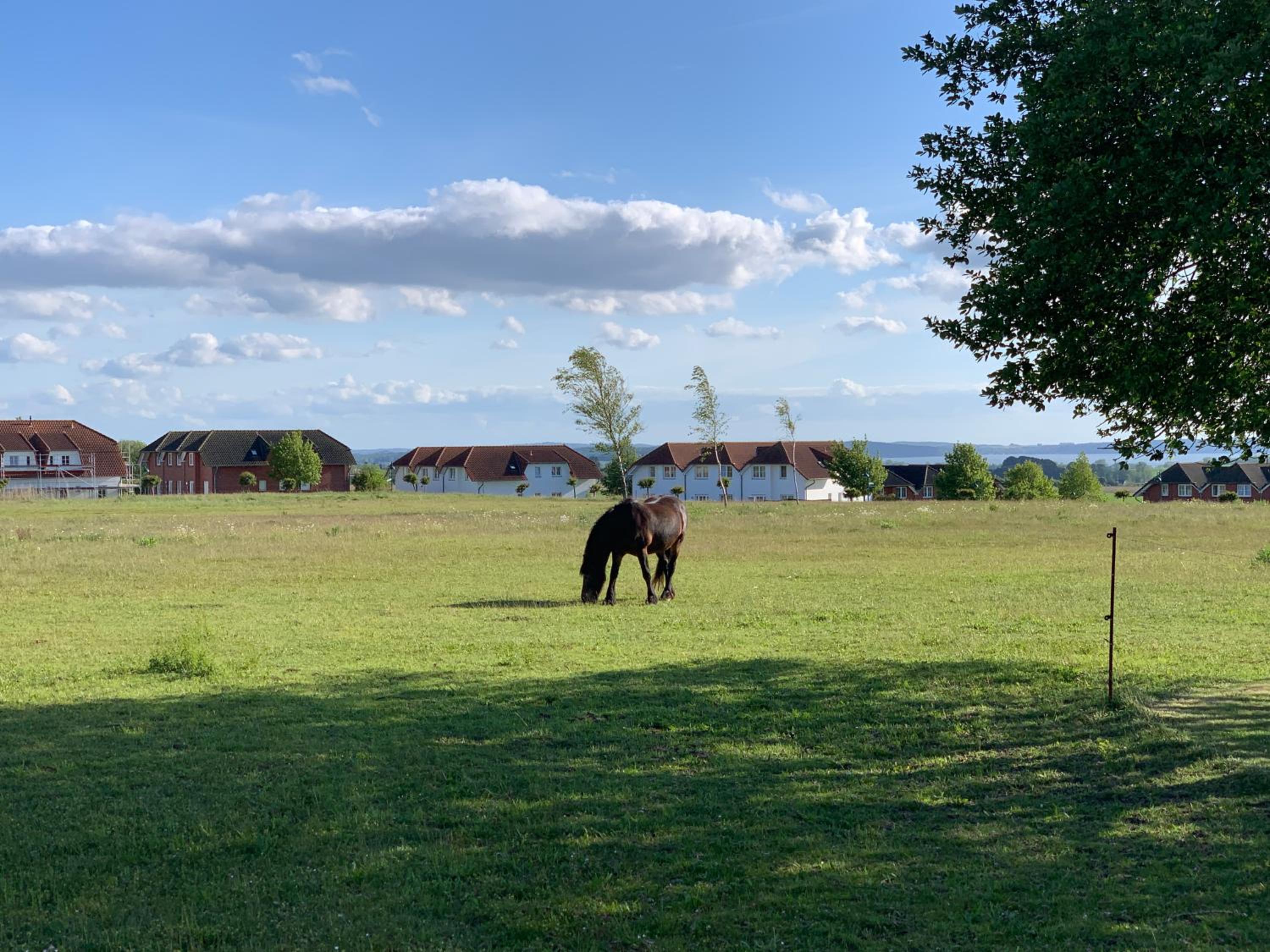 Apartment Ostseebrise im Ferienpark