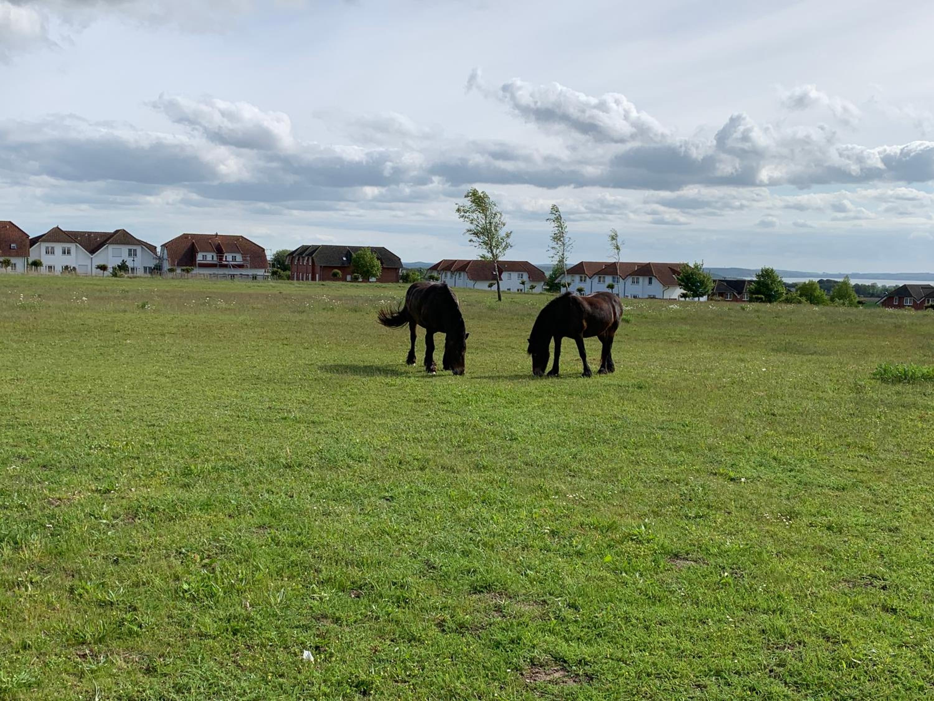Apartment Ostseebrise im Ferienpark