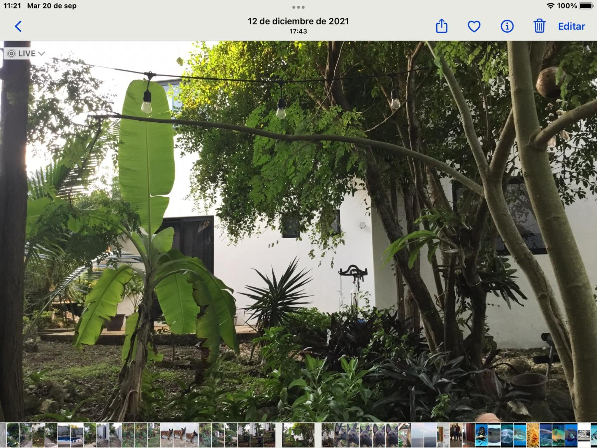 Acogedora suite con bonito jardin view 5