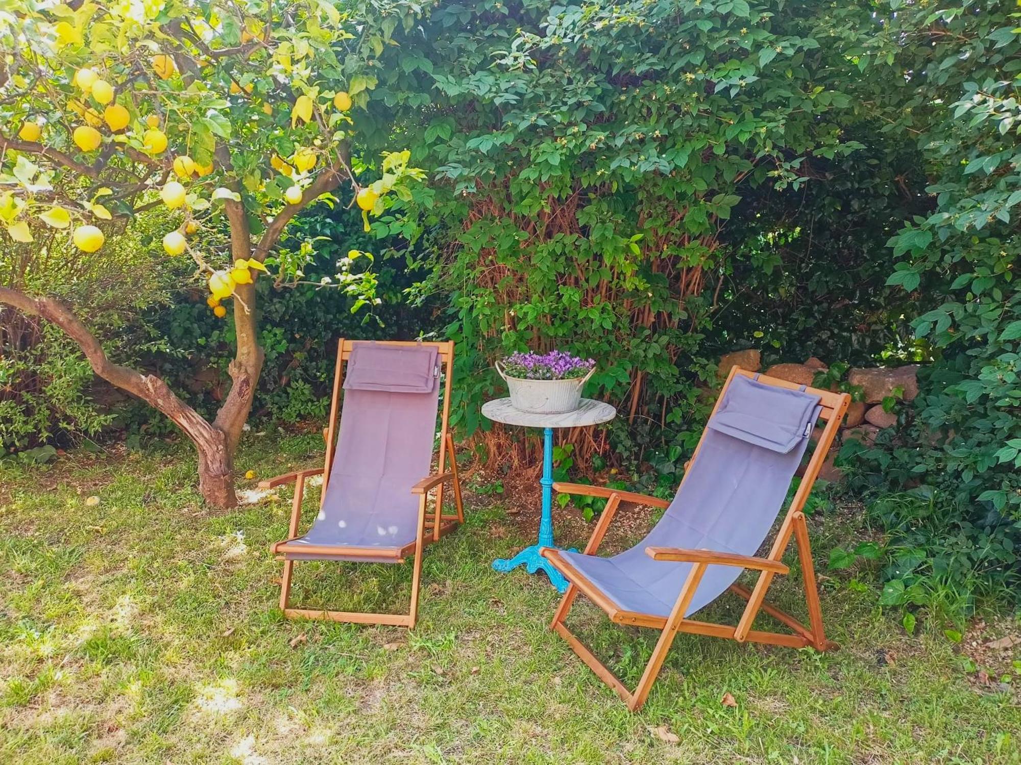 Villa Ontanelli - 500mt dal mare