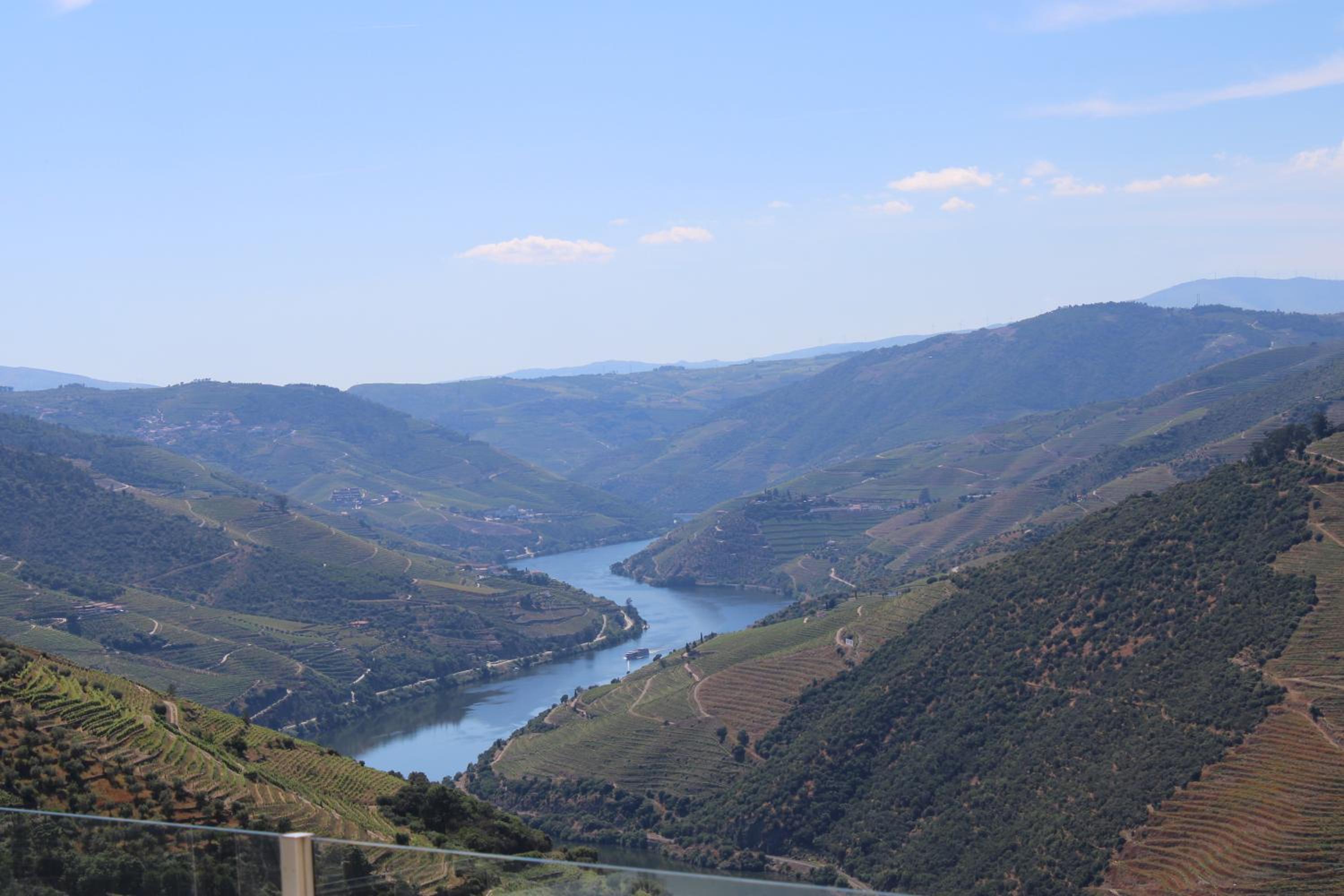 Socalcos do Douro House