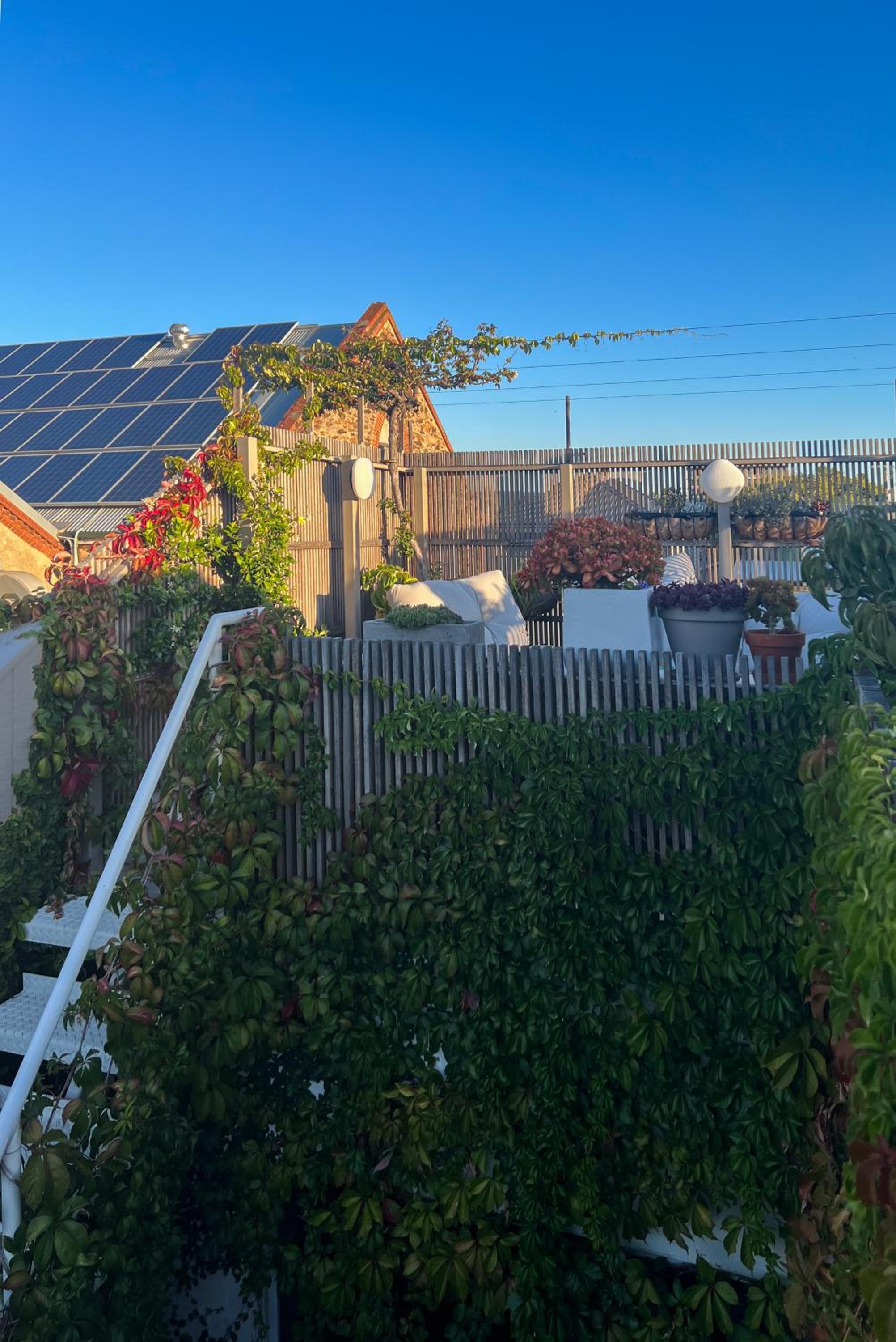 roof