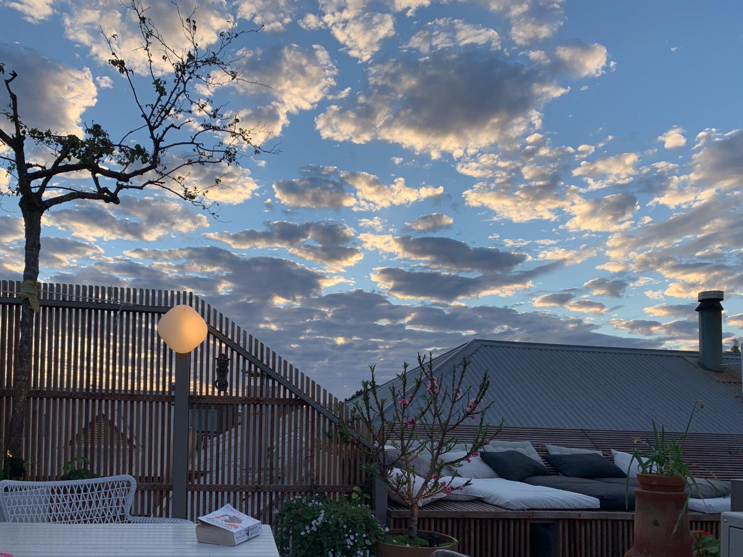roof