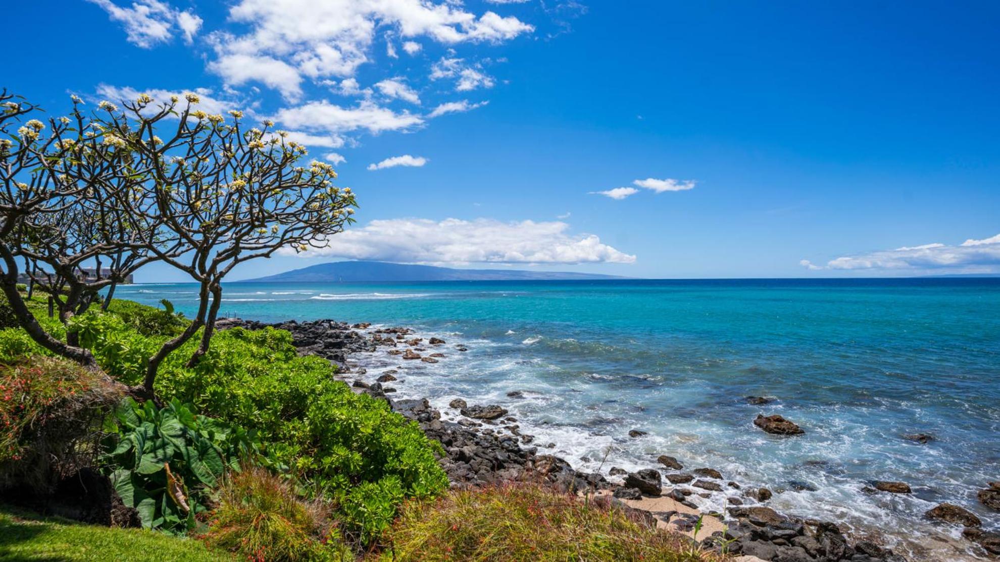 Kuleana Club #402 Oceanfront 1bedroom 1 bathroom - Gated view 2