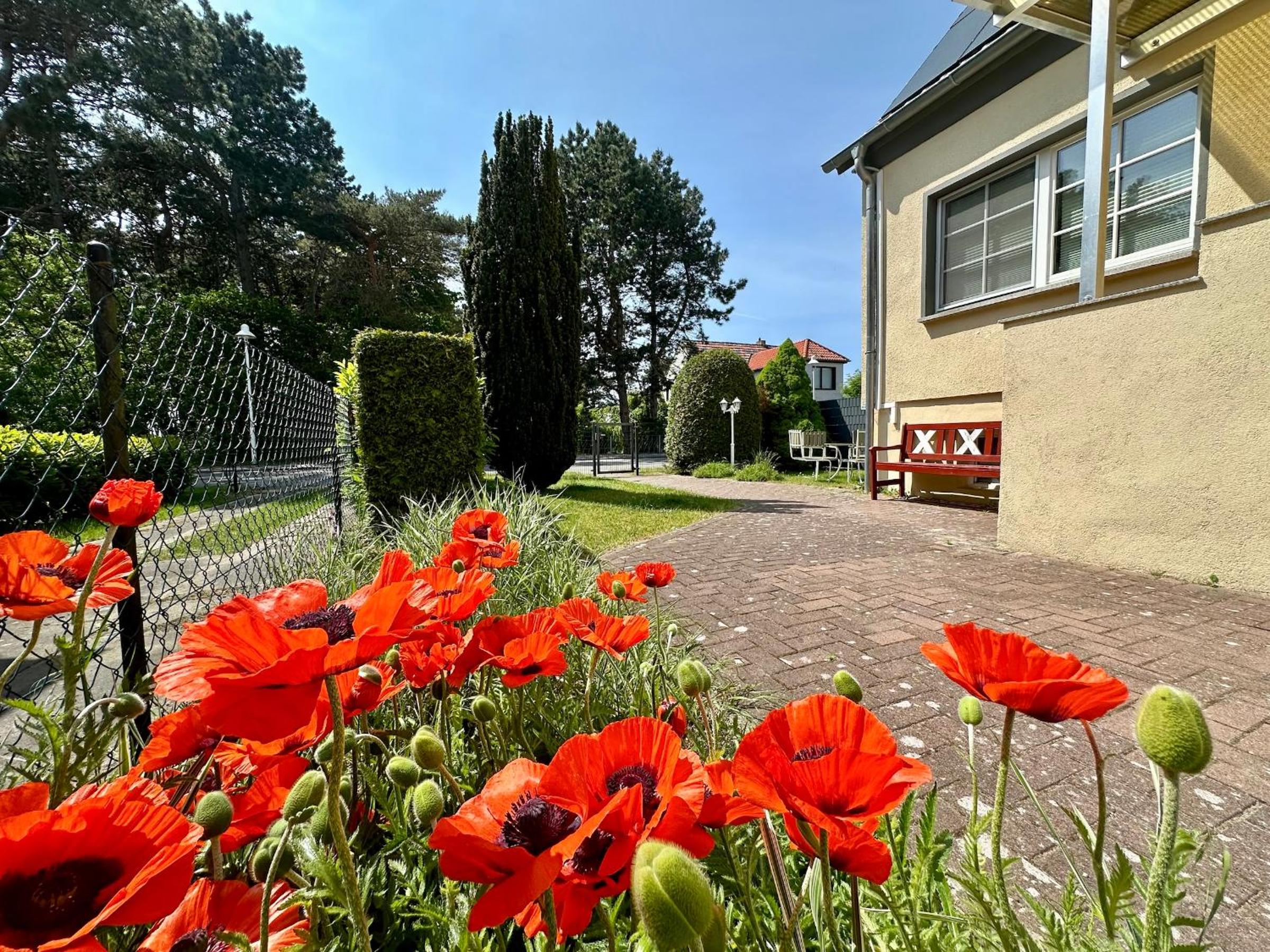 Seehund Feriendoppelhaus