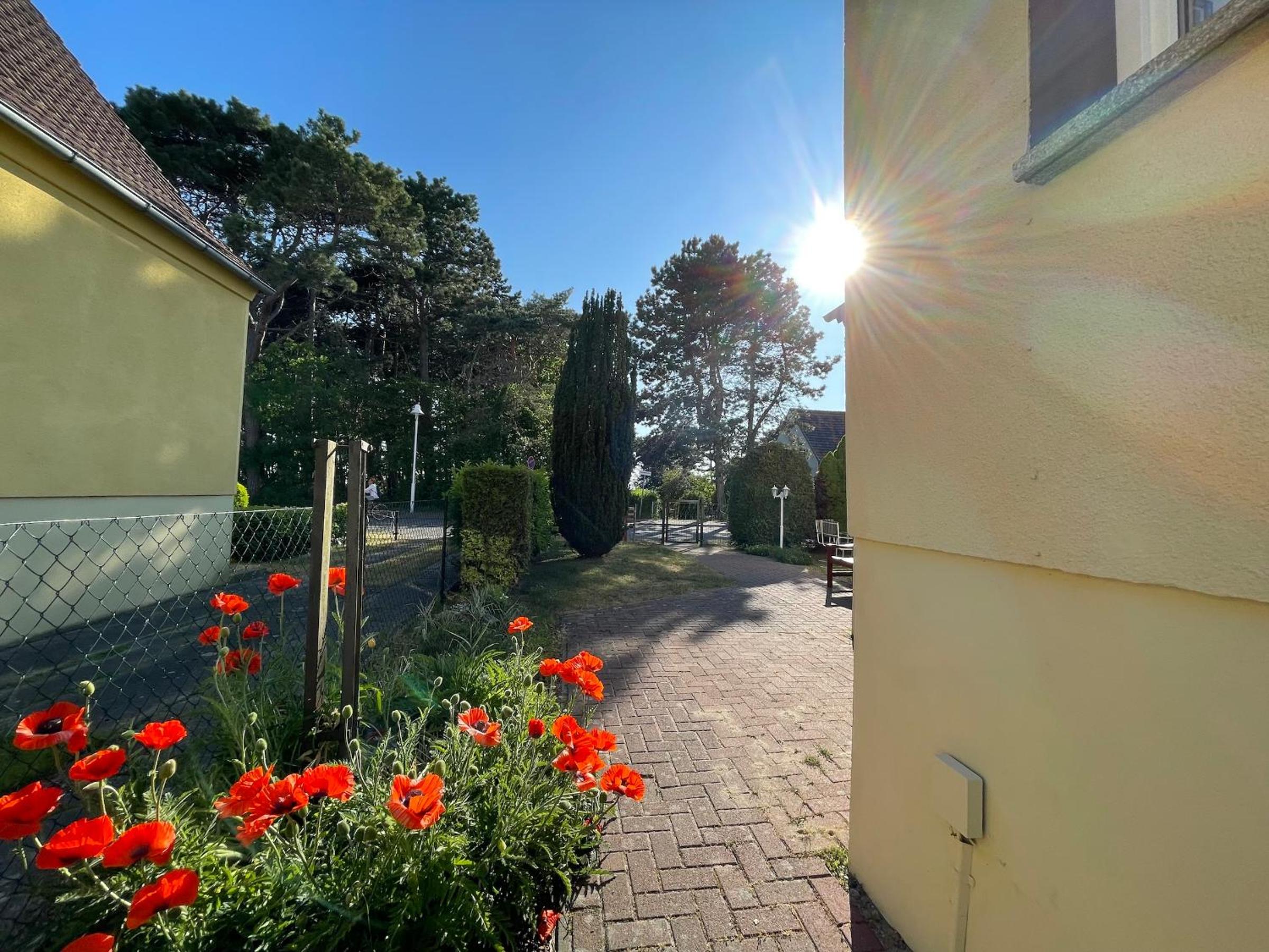 Seehund Feriendoppelhaus