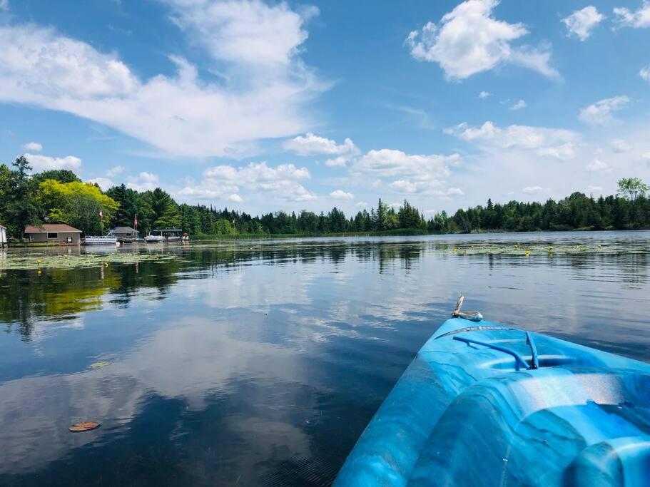 Peaceful Waterfront Cottage on Kawartha Lakes