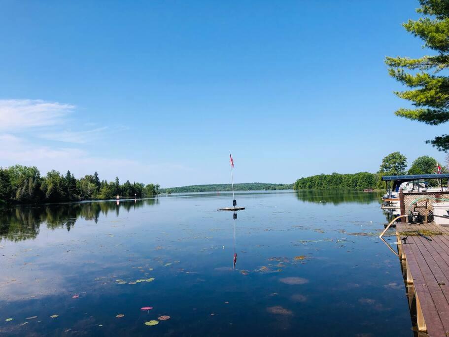 Peaceful Waterfront Cottage on Kawartha Lakes