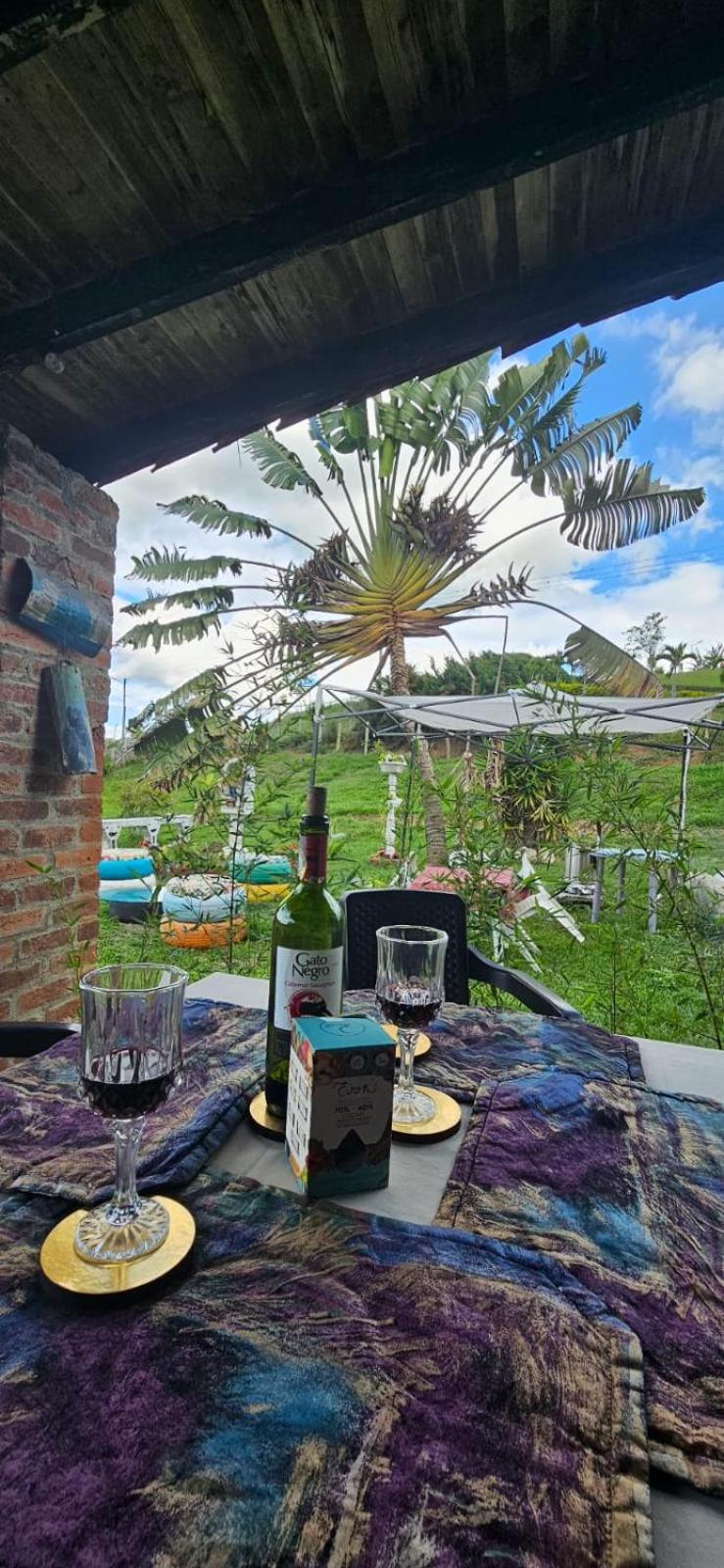 Villa Papayita