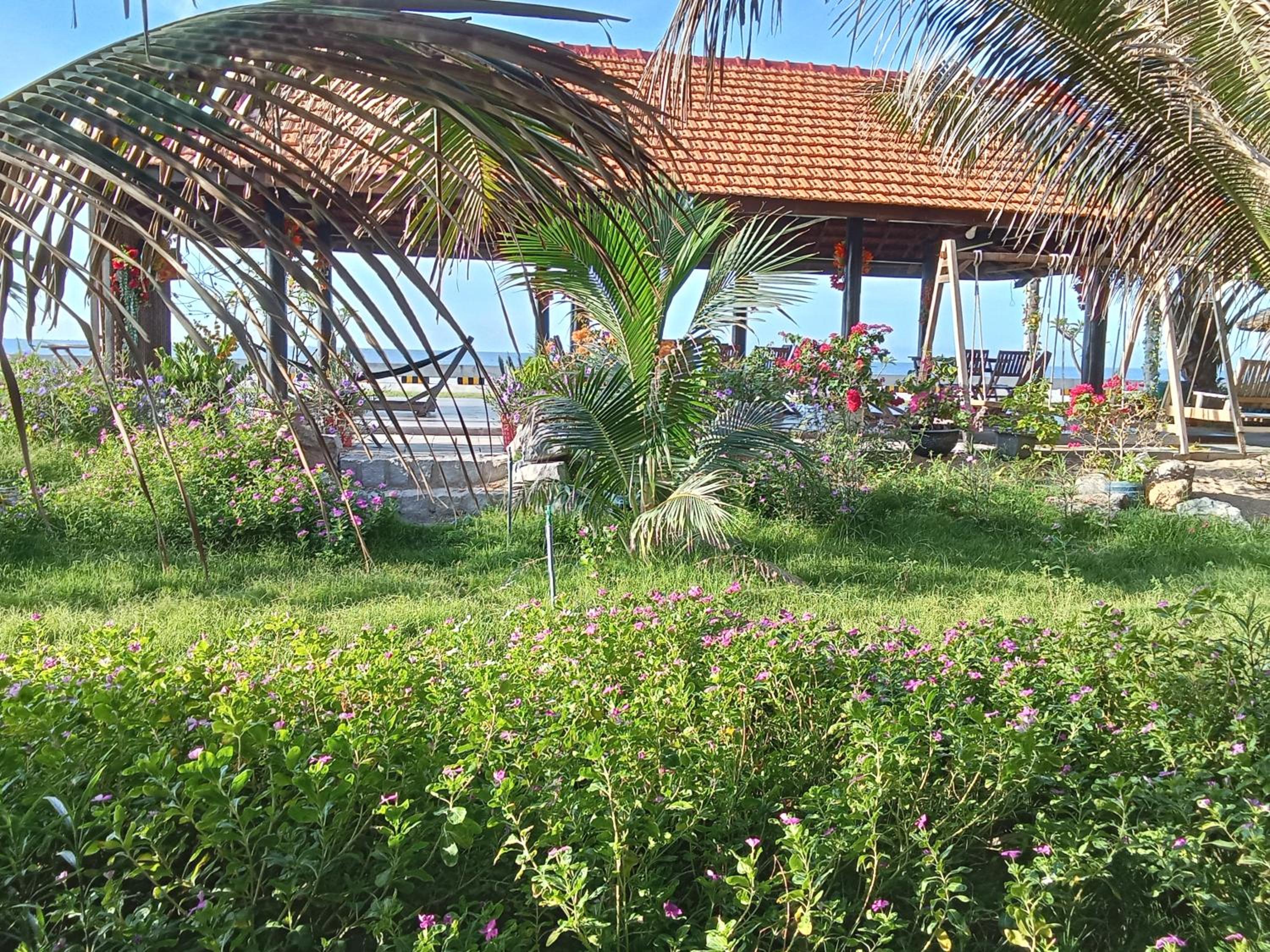 Photo 15