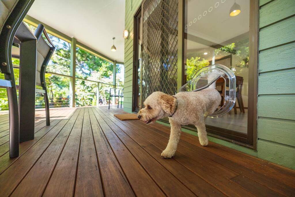 Fuller Holidays - Maluco - Beach House Belongil