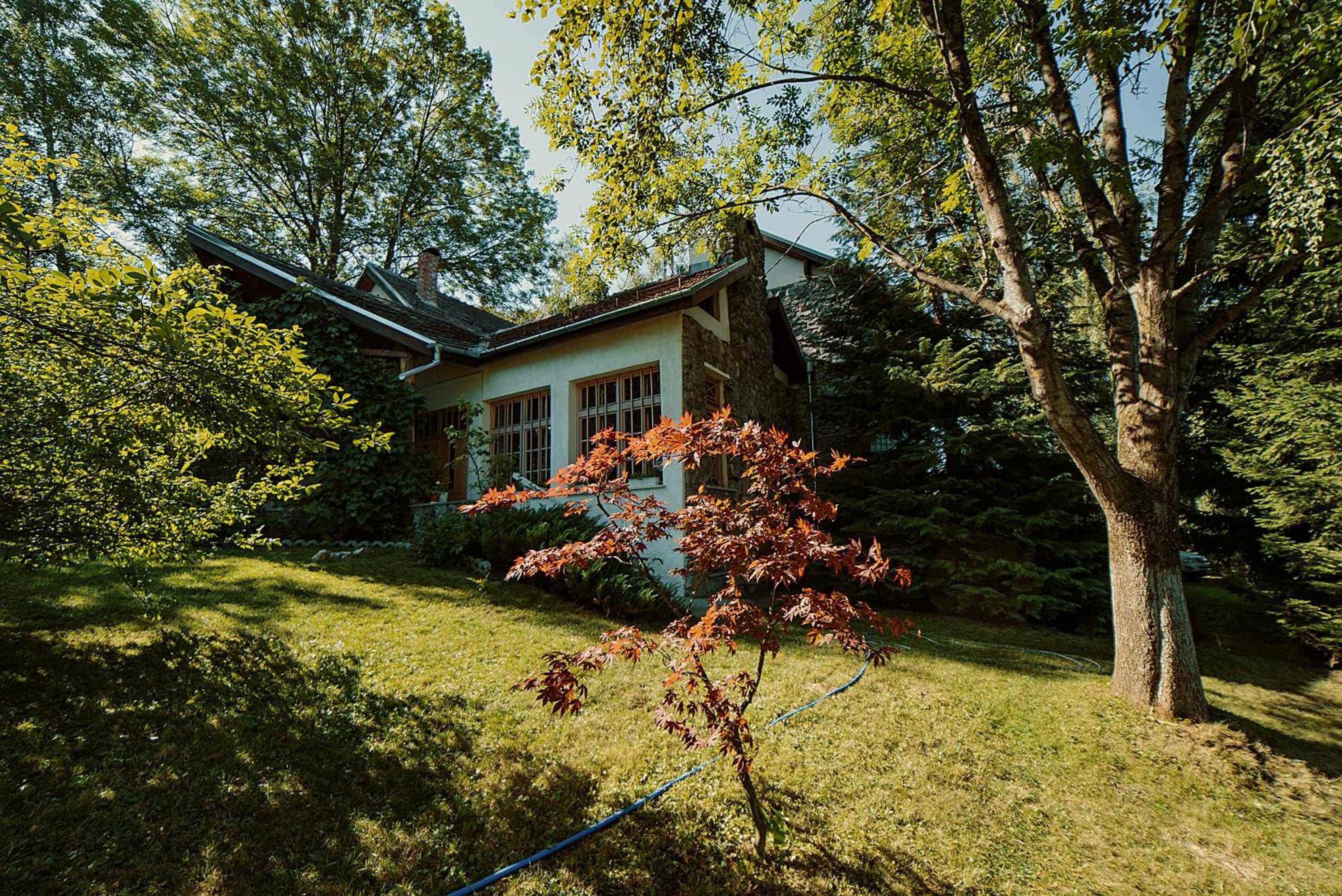 Photo 27
