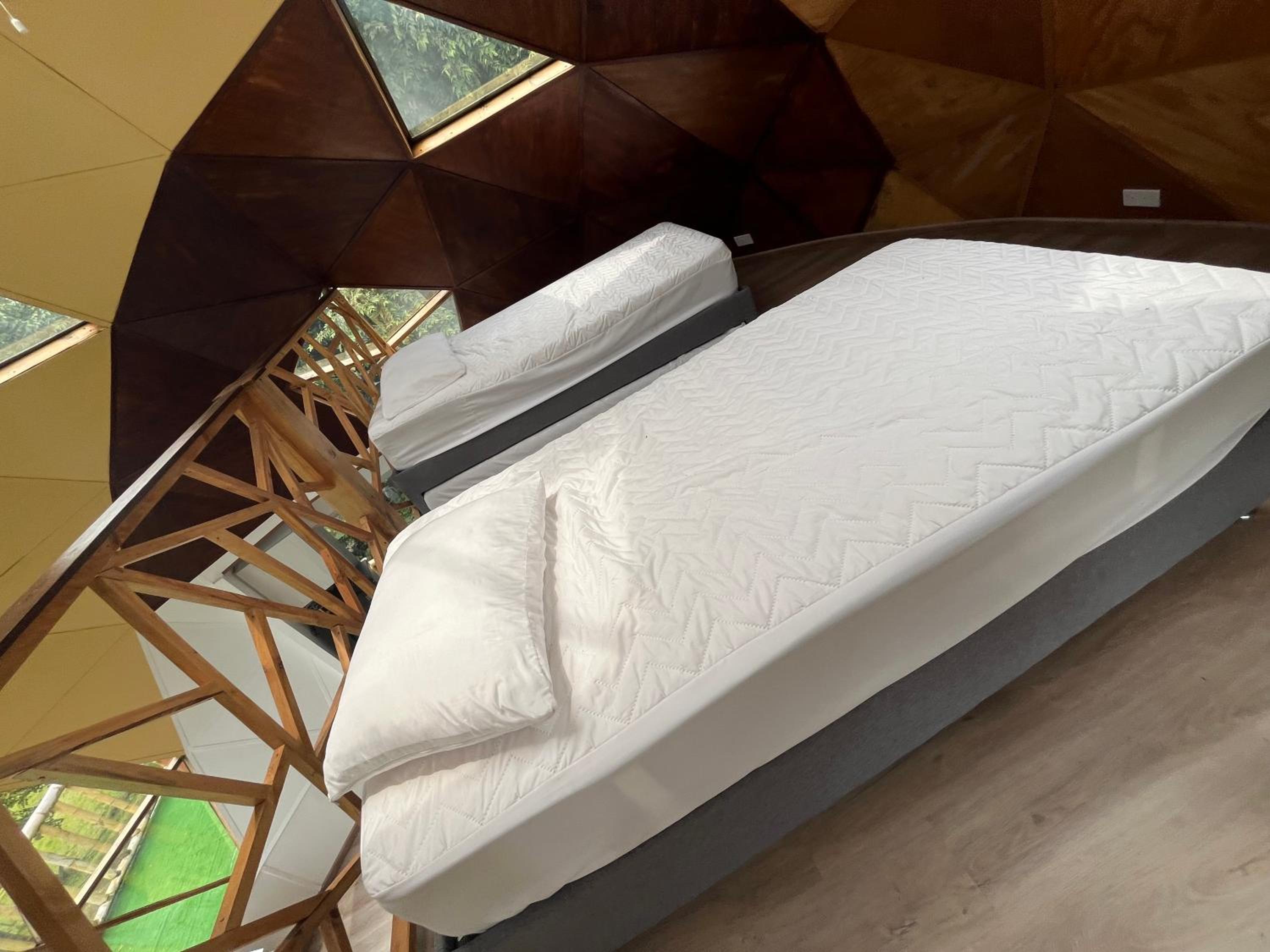Nuevo Domo de Lujo con JACUZZI trae tu MASCOTA