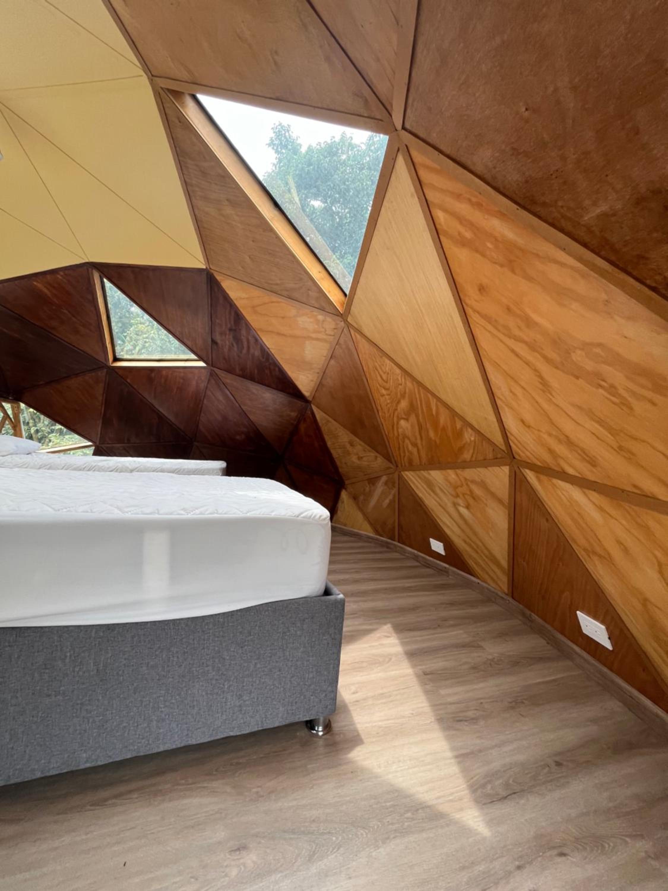 Nuevo Domo de Lujo con JACUZZI trae tu MASCOTA
