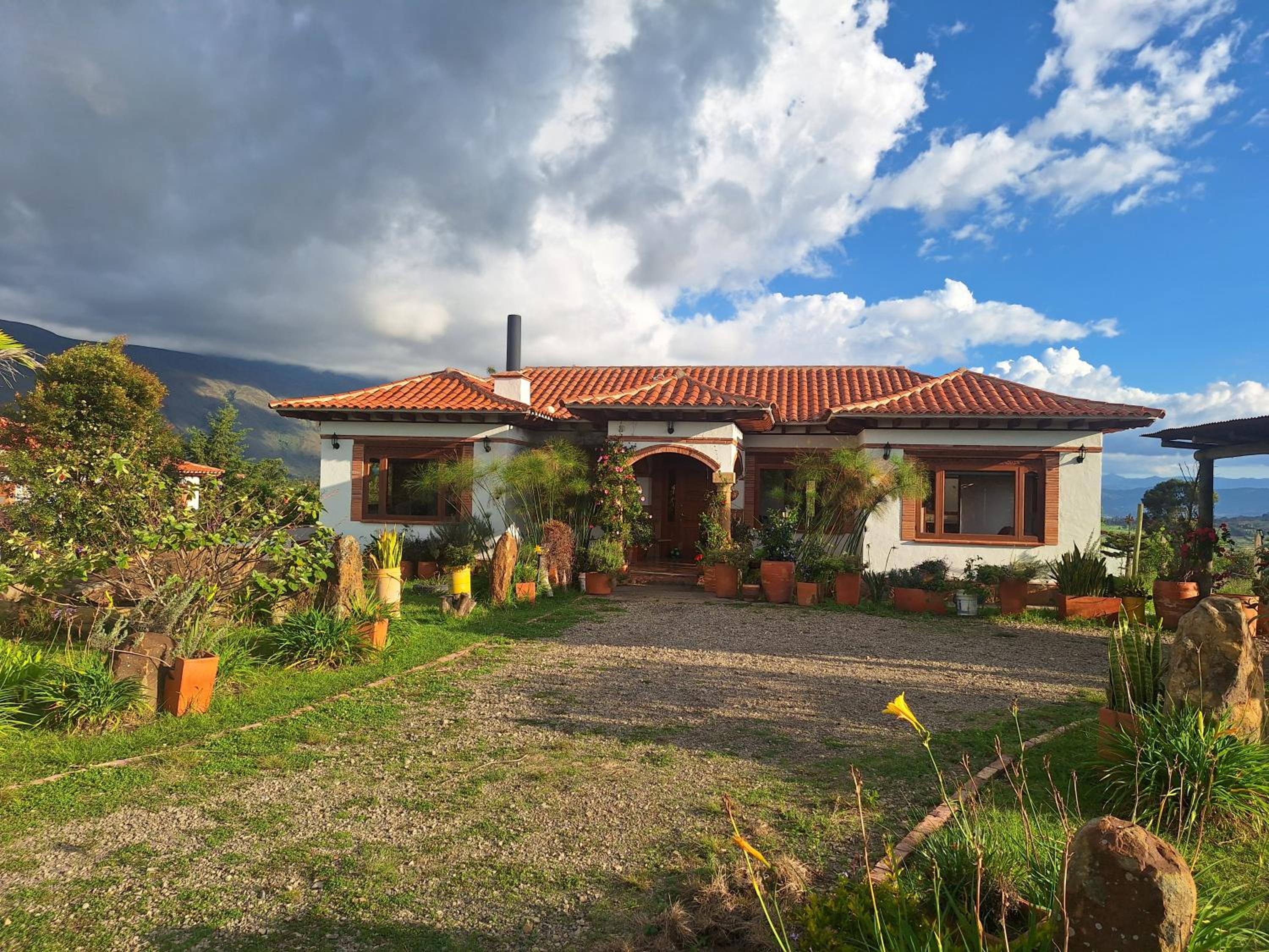 Home Boutique Flores Amarillas