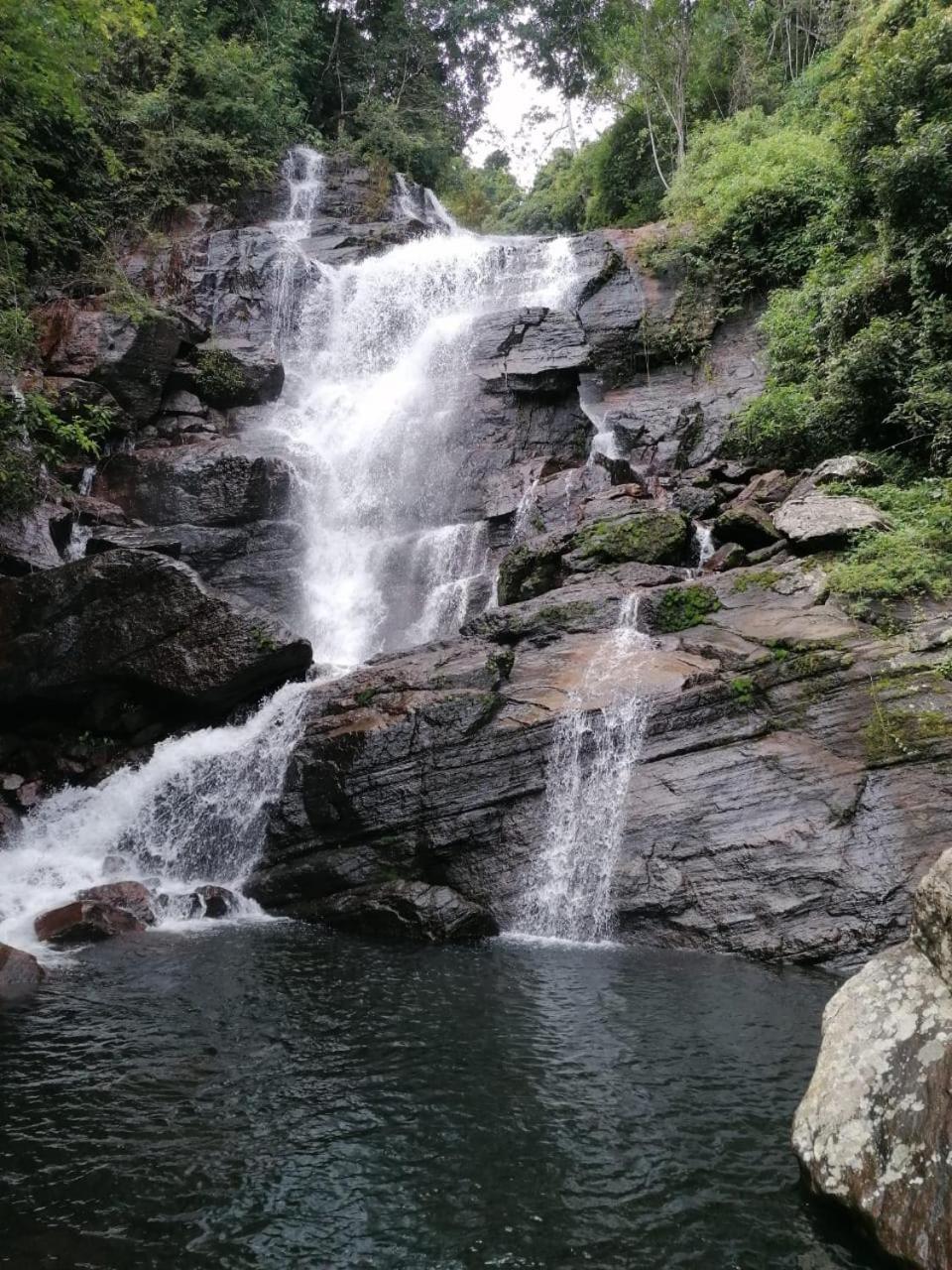 Photo 40