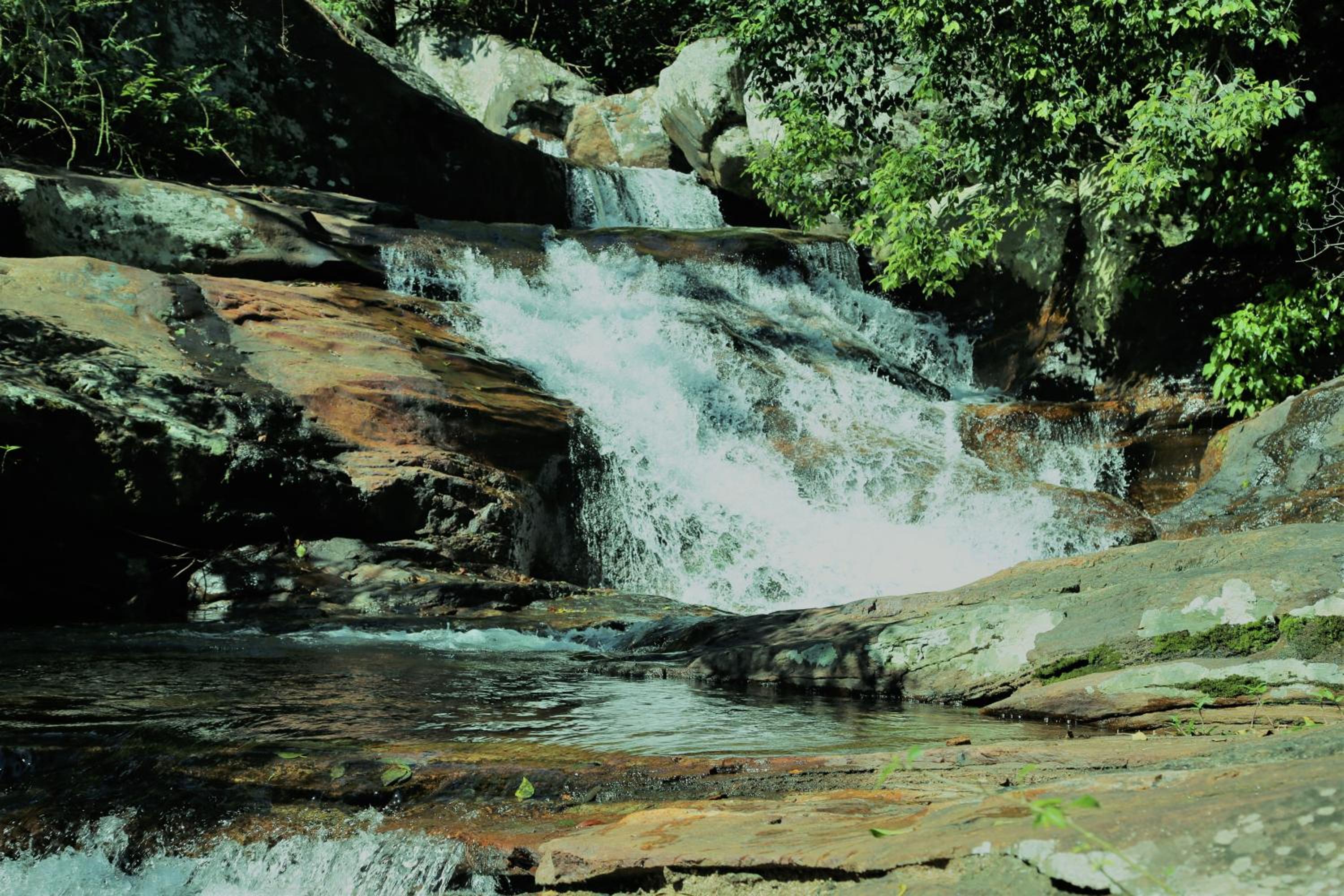 Photo 42
