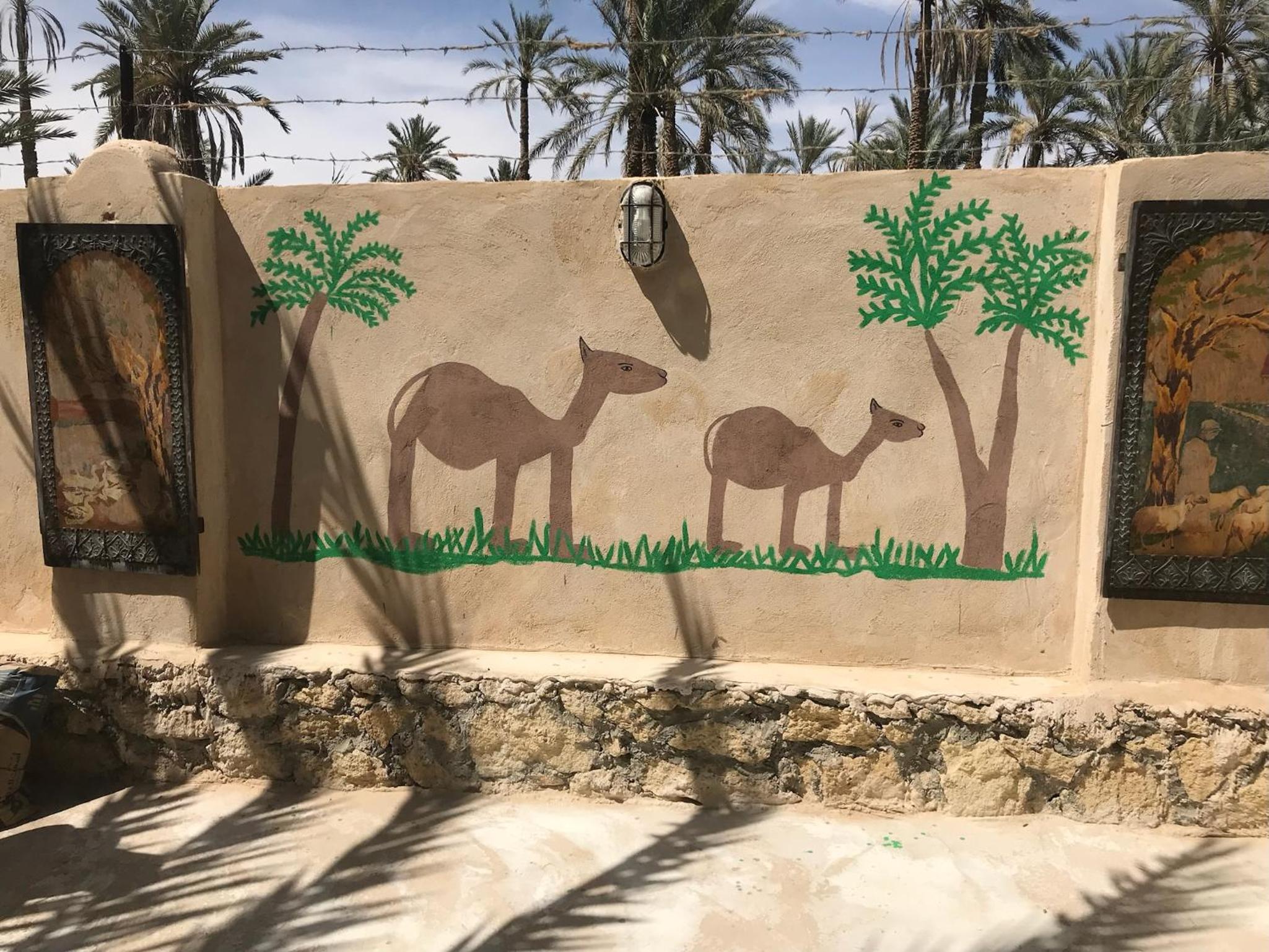 Siwa Spot - March is one of the best months in Siwa, with beautiful spring weather, pleasant sunny days, cooler peaceful nights, and a quiet oasis atmosphe