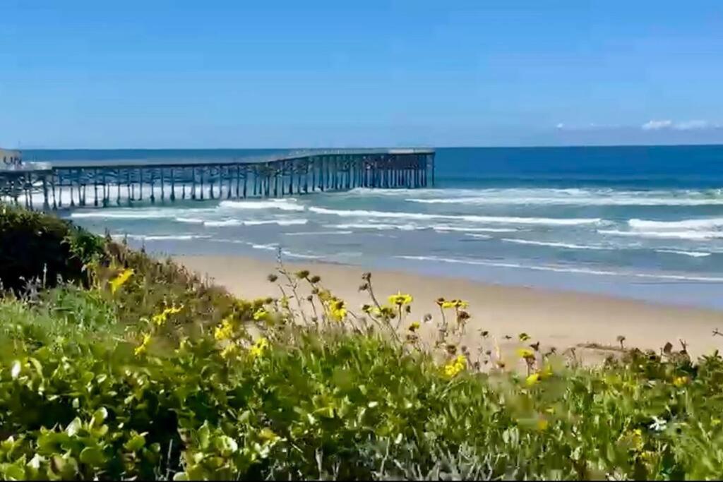 Seashore Retreat
