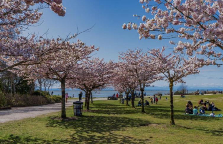 Home In Vancouver