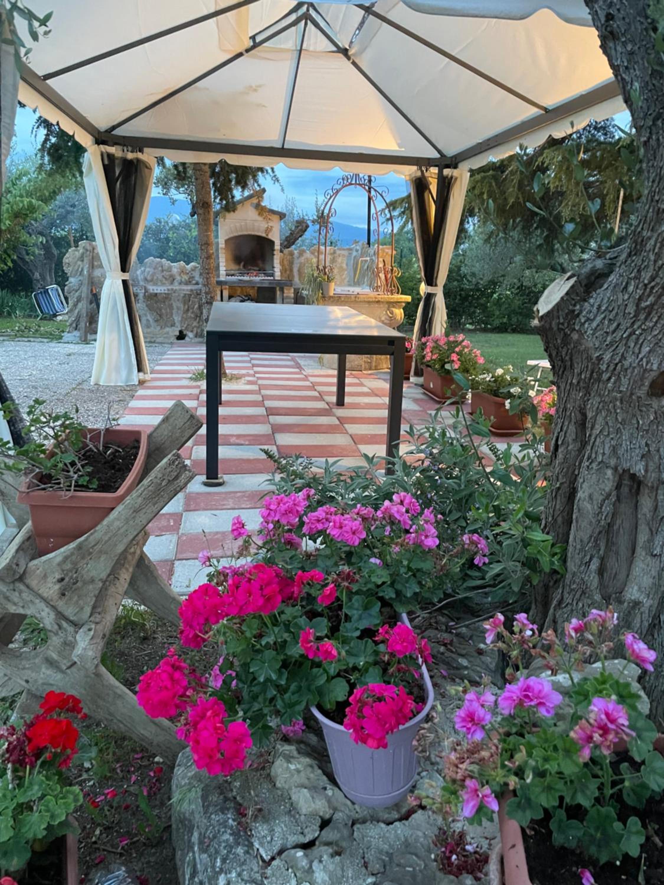 Le tre civette - CIVETTA LILA view 4