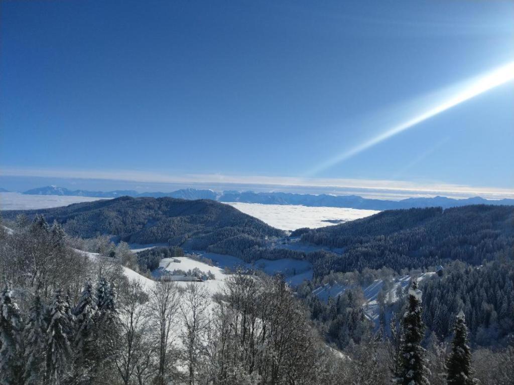 Stilvolles Panorama-Appartement