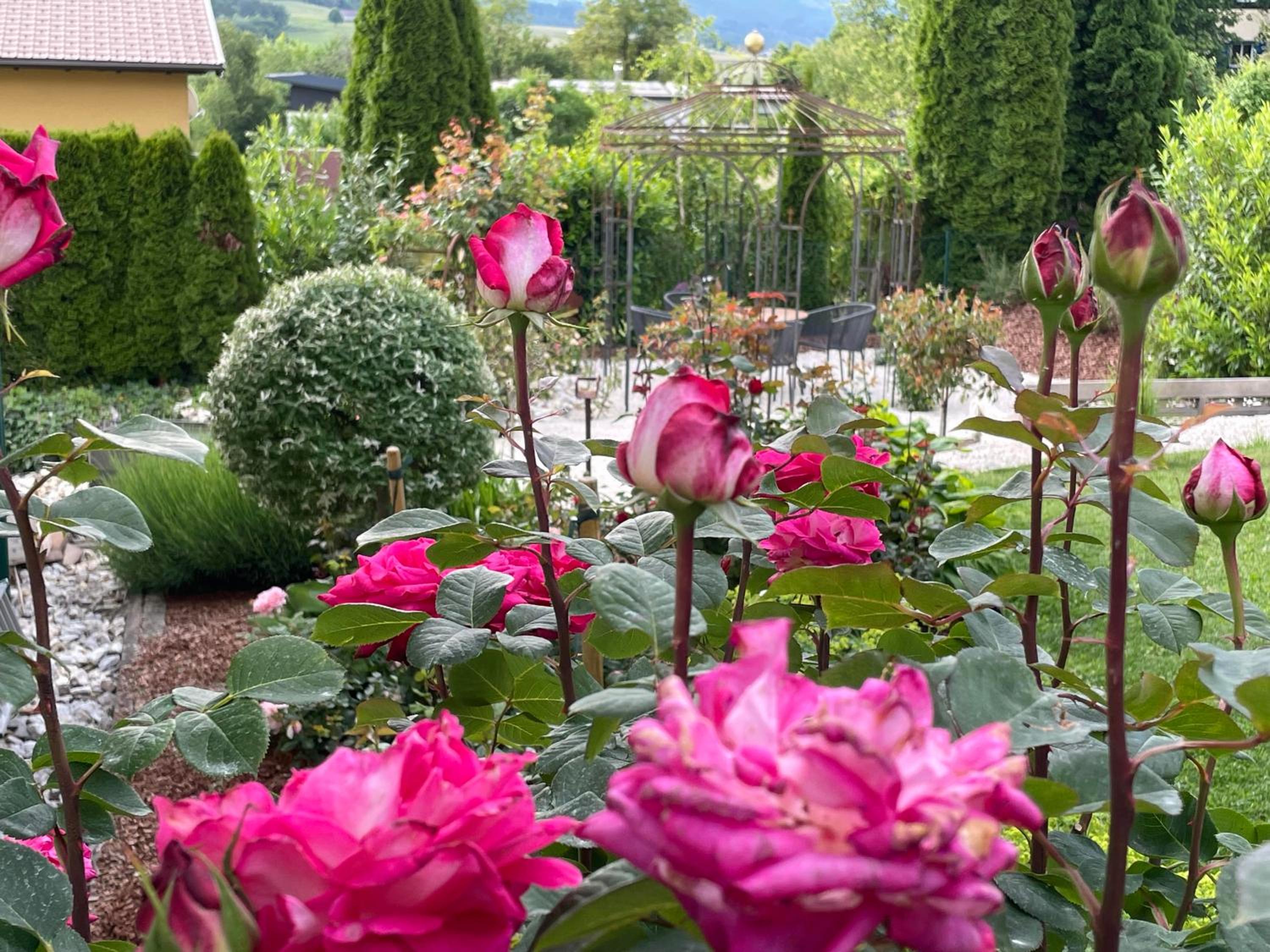 Bed and Breakfast Mittelkärnten