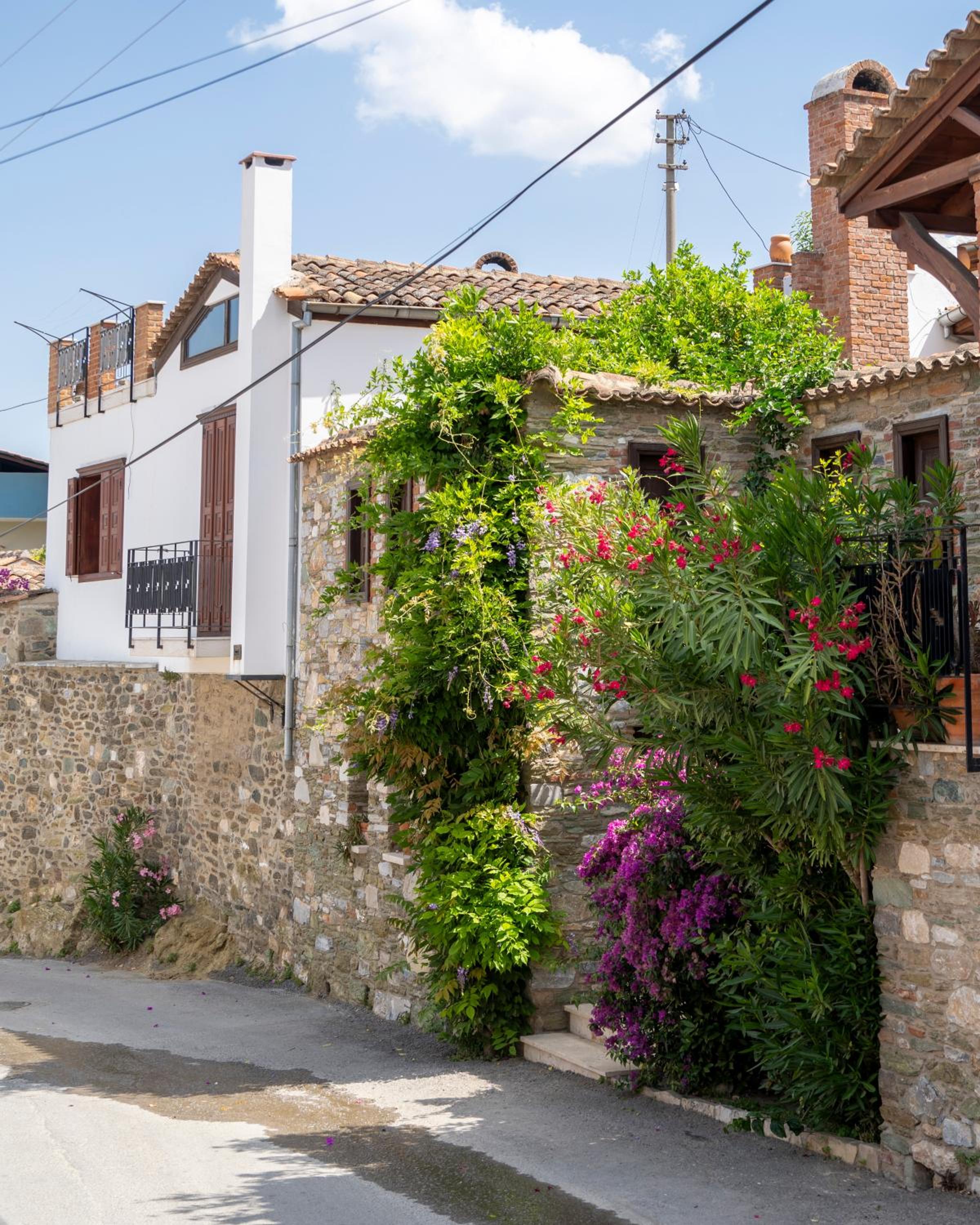 Hotel Ionia House - Image 1