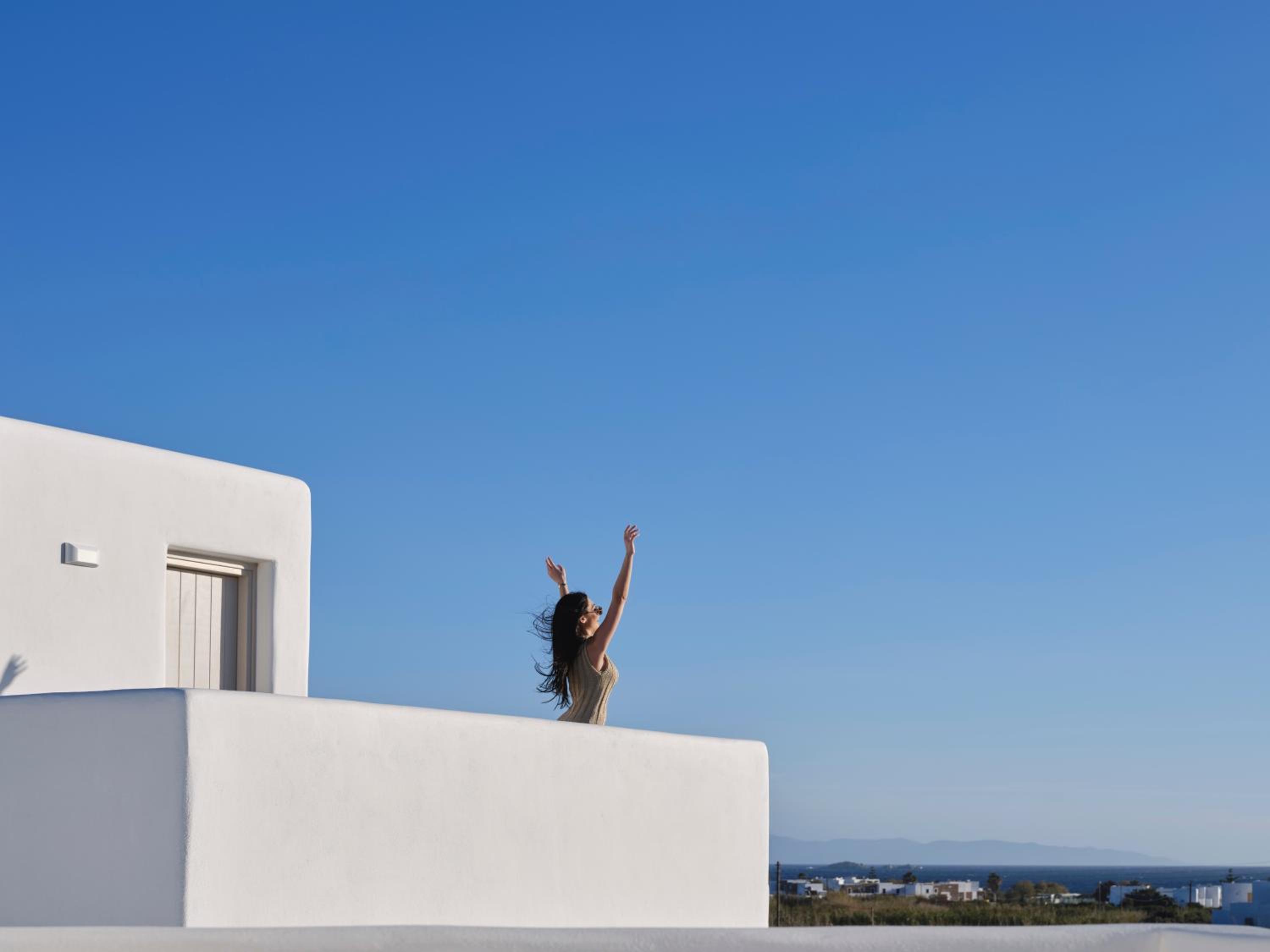 Maestro Villas Naxos