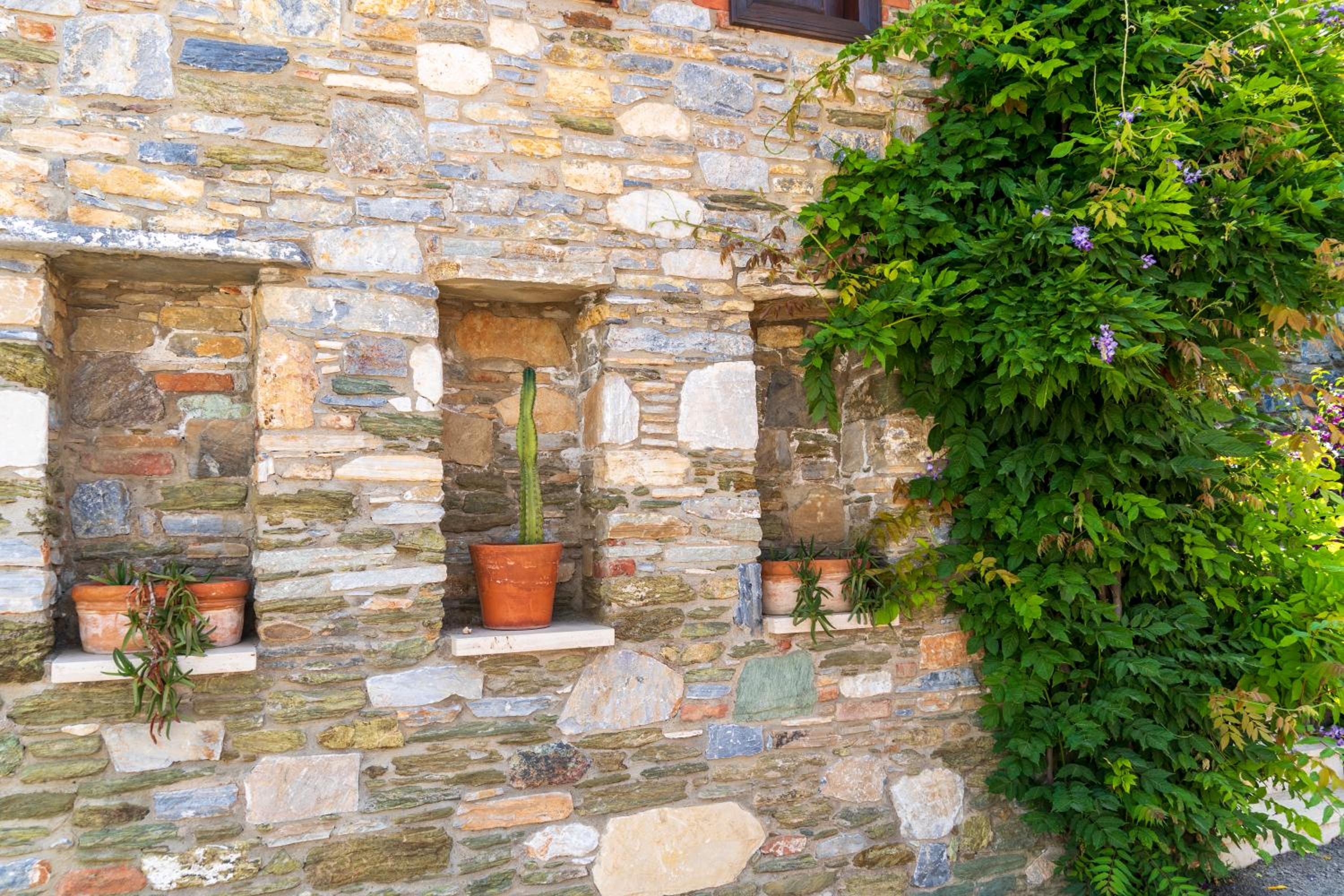 Ionia House