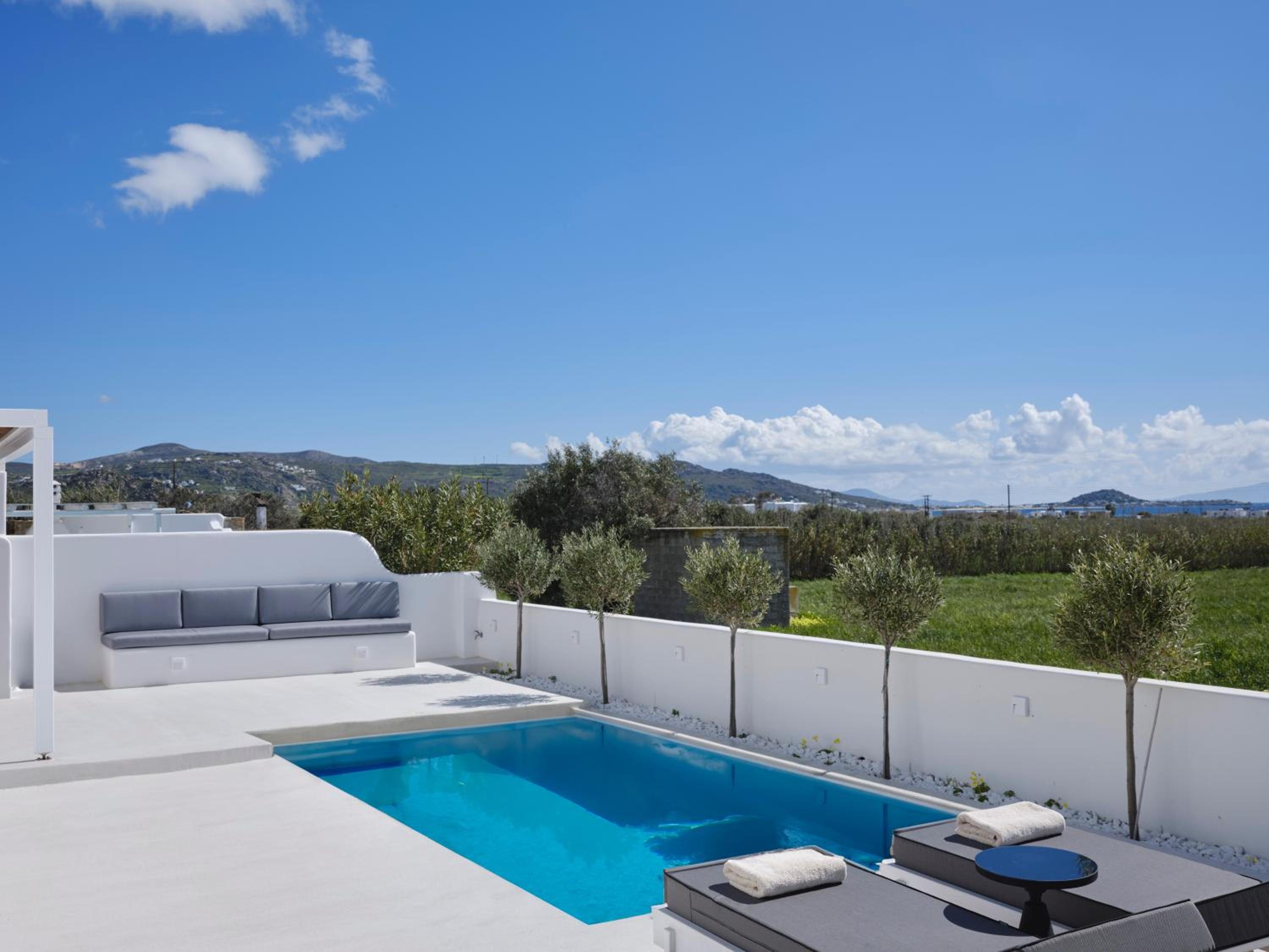 Maestro Villas Naxos