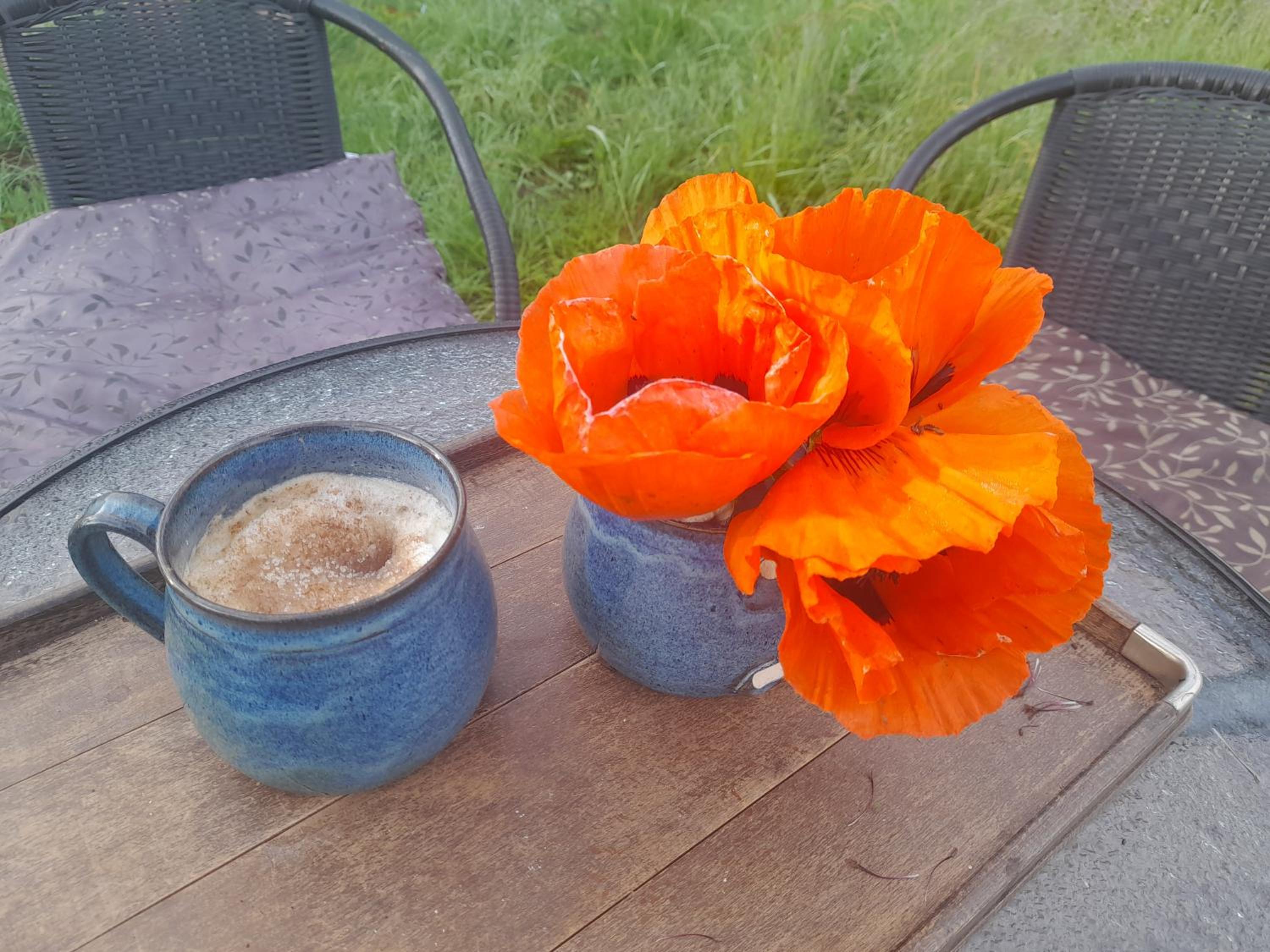Glamping na samotě u lesa