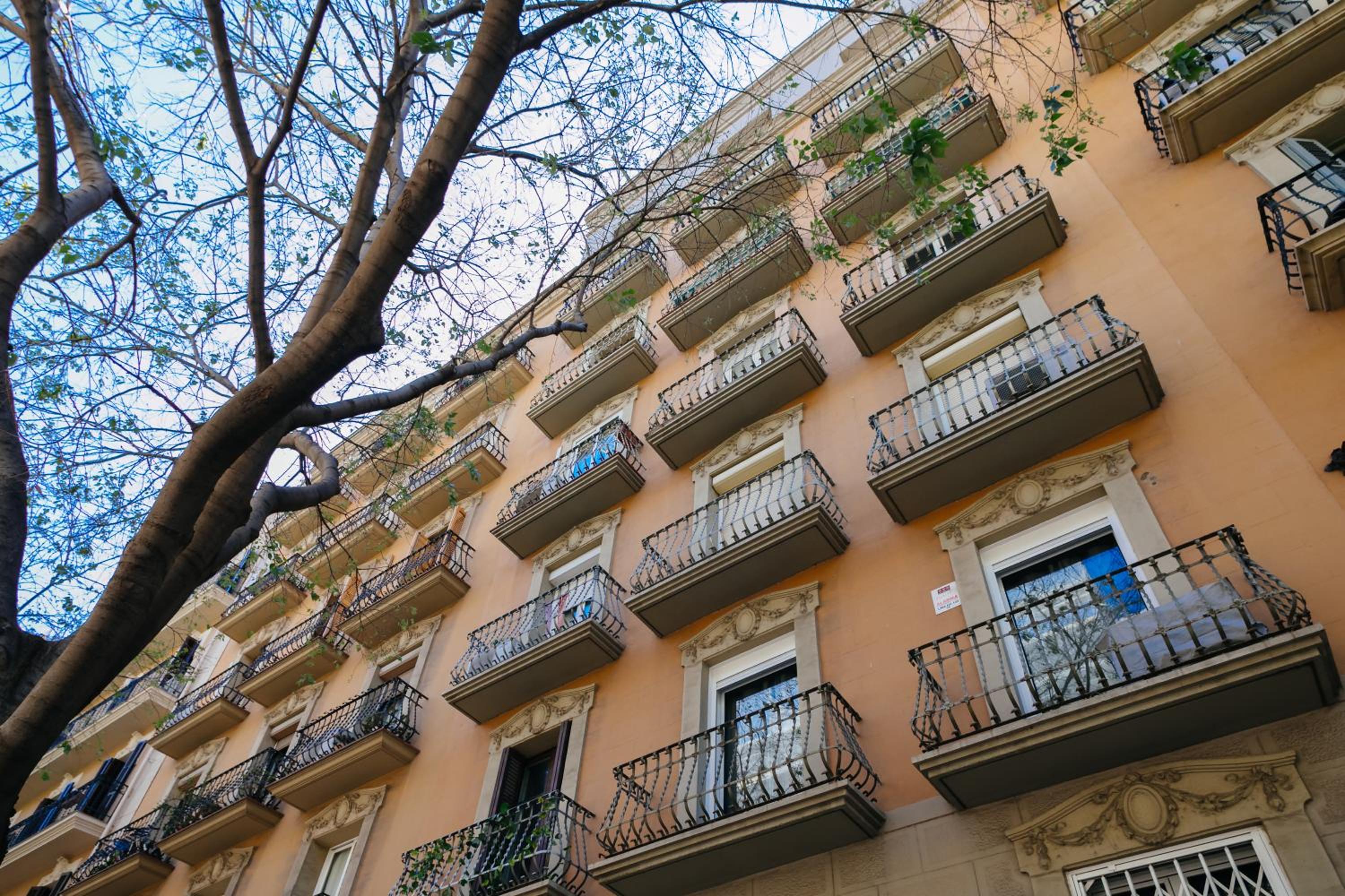 Cute Apartment