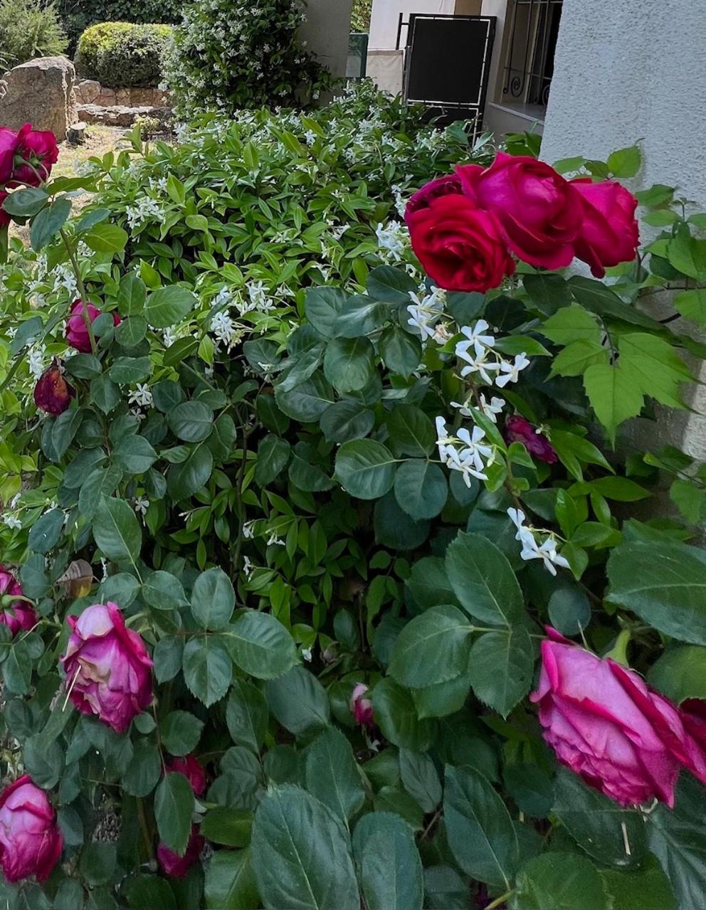 Photo 34