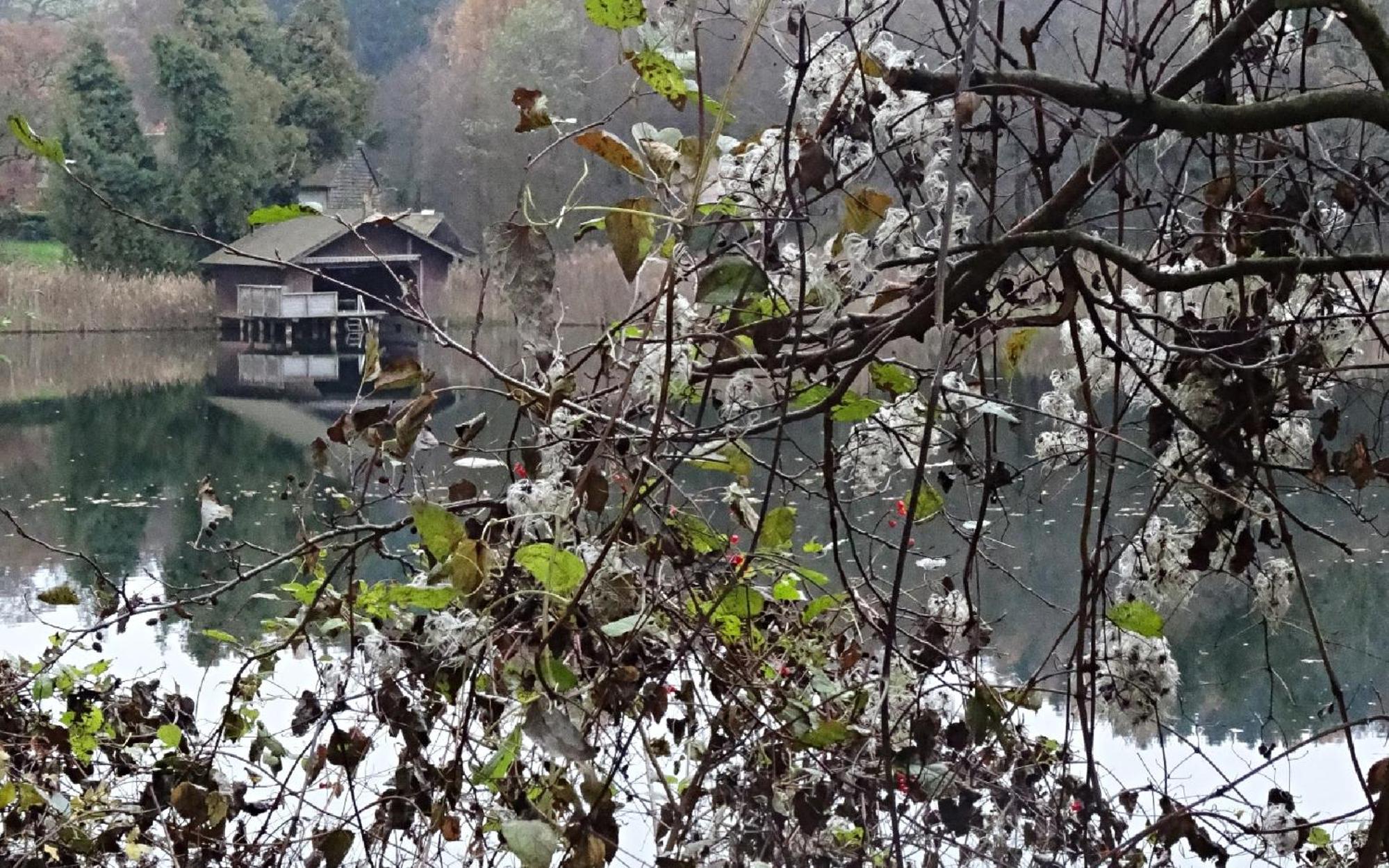 Villa Karlsbach