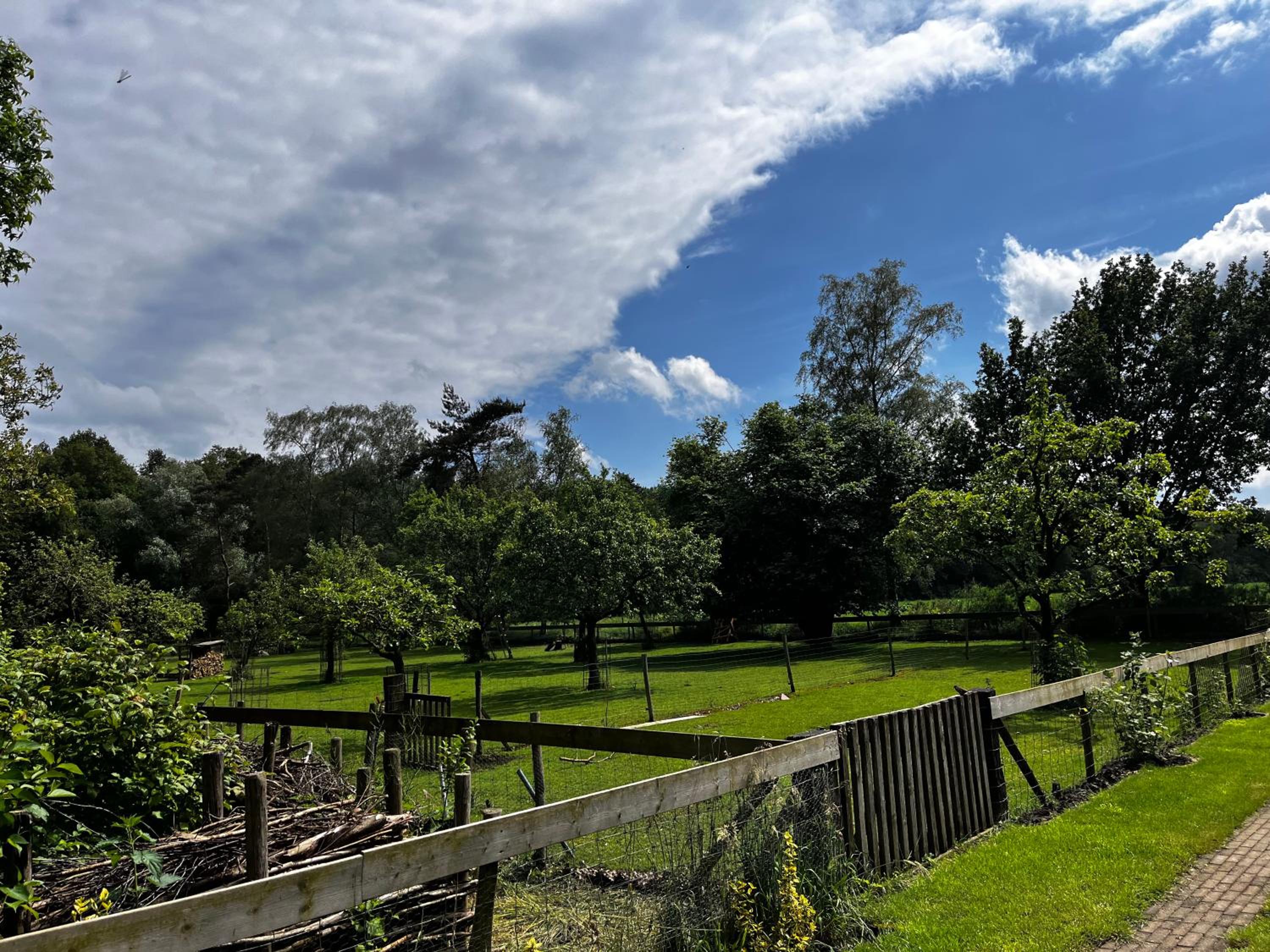 B&B PapenvoortseHeide