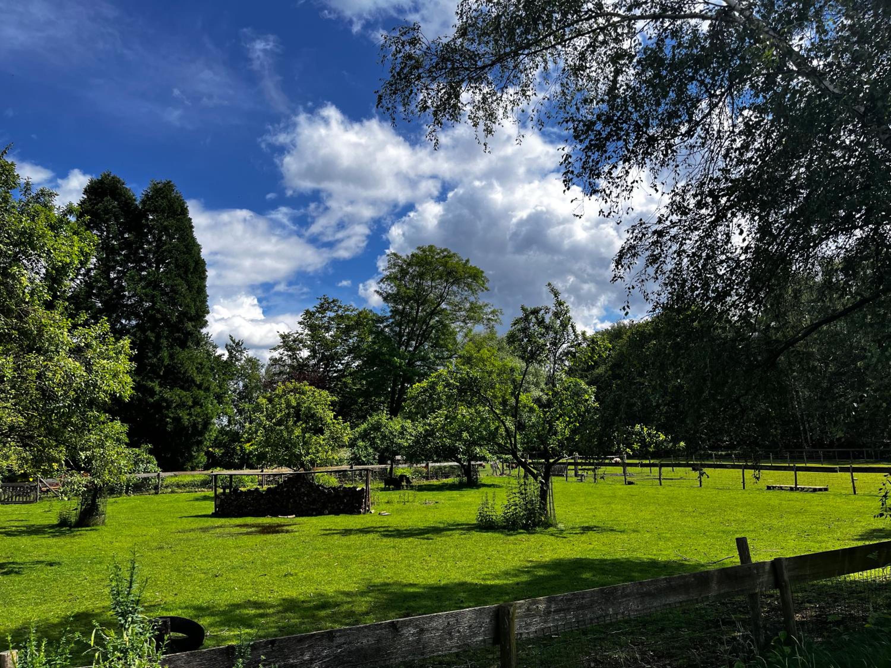 B&B PapenvoortseHeide