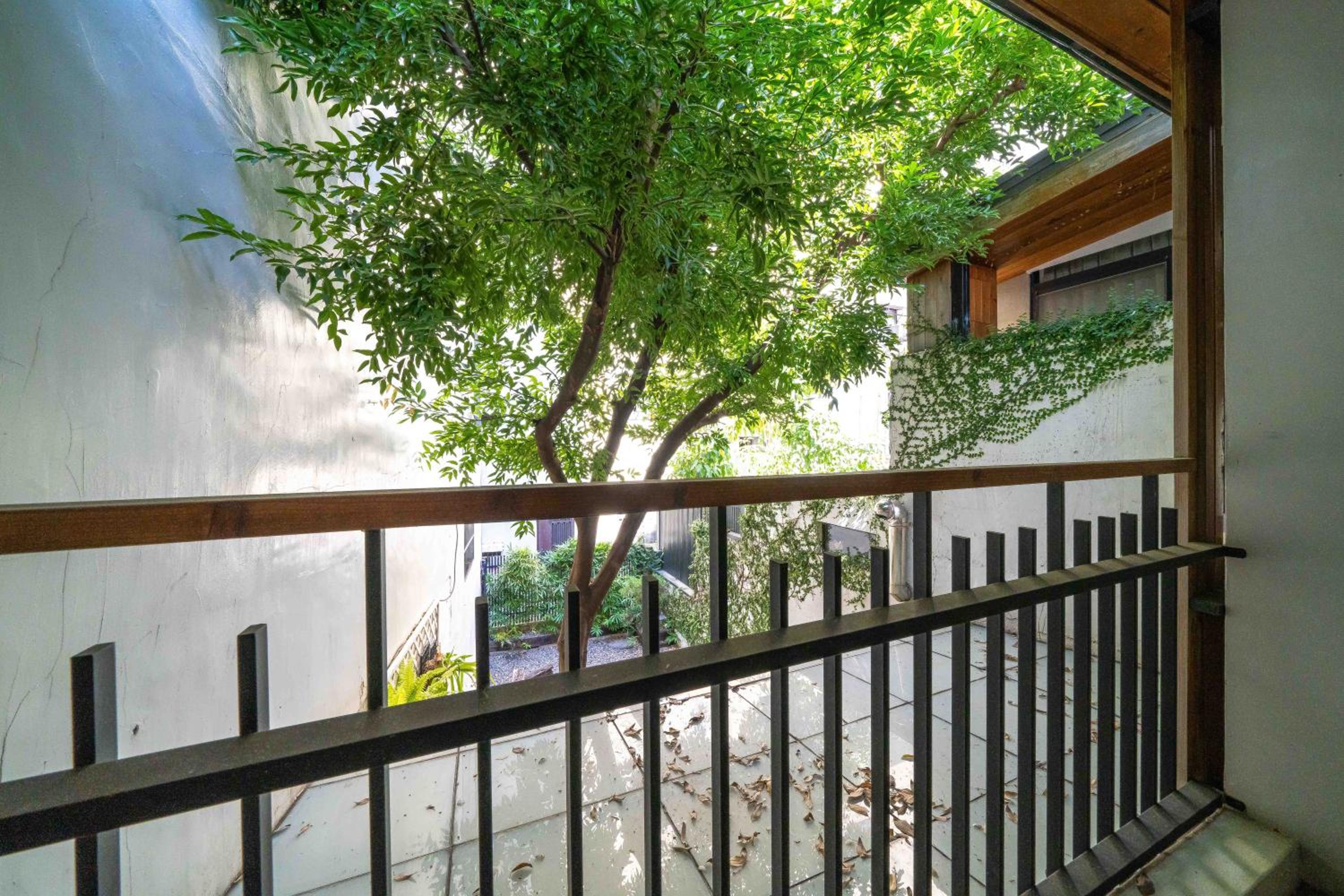 Tree House