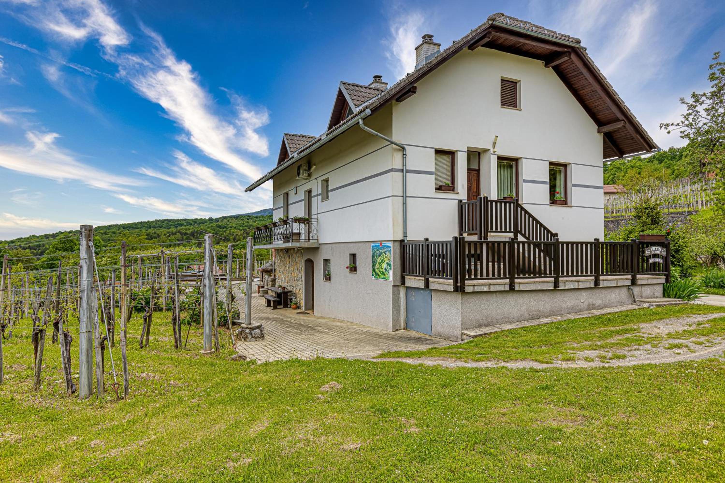 Vrtin Vineyard Family Retreat - Happy Rentals