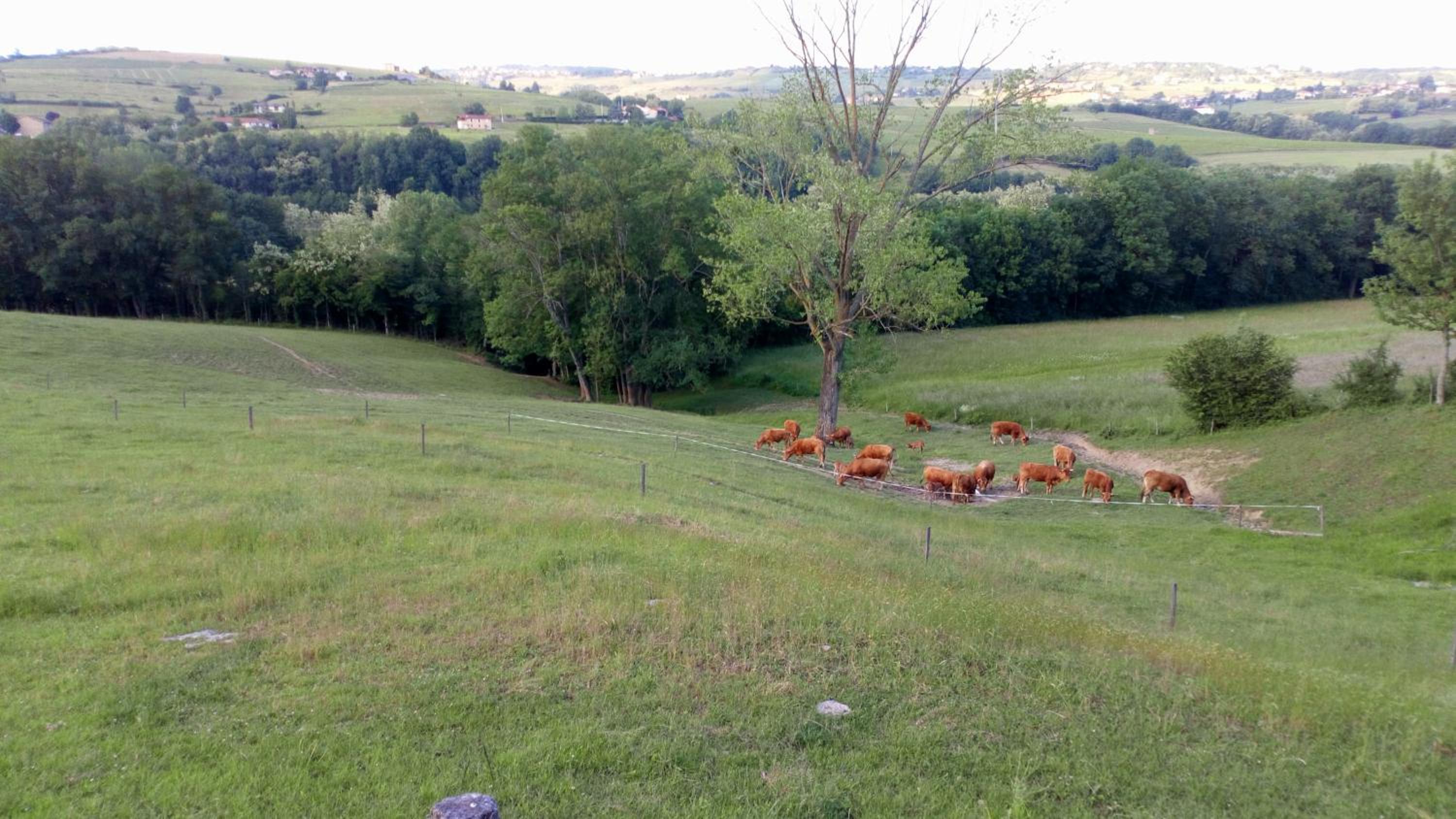 La Ferme Du Chapi