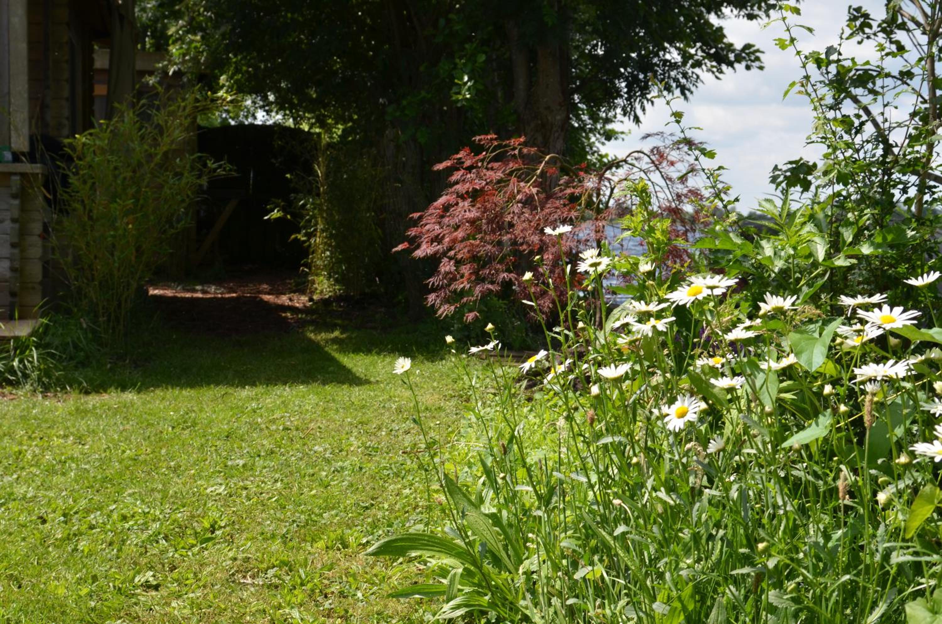 Luxury Experience in Off The Grid Lodge at an Amazing Lake Vinkeveense Plassen